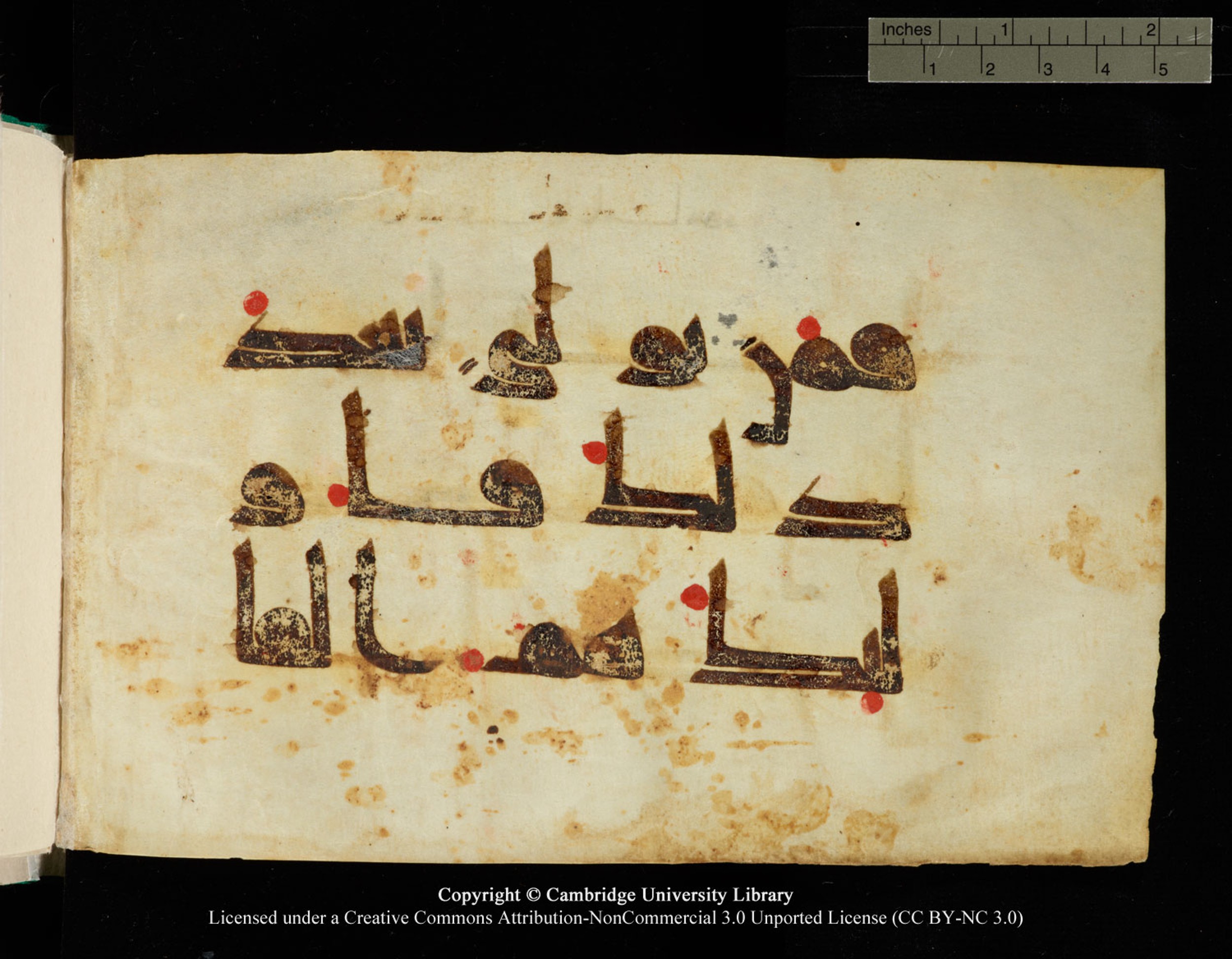 Cambridge, Cambridge University Library, MS Add.1116 (Scan 1), in Kūfī D.I script, showing Surah 3:82 from 9th Century AD (before 876 AD) found in Sinai Peninsula, currently housed at Cambridge University Library, Cambridge, UK