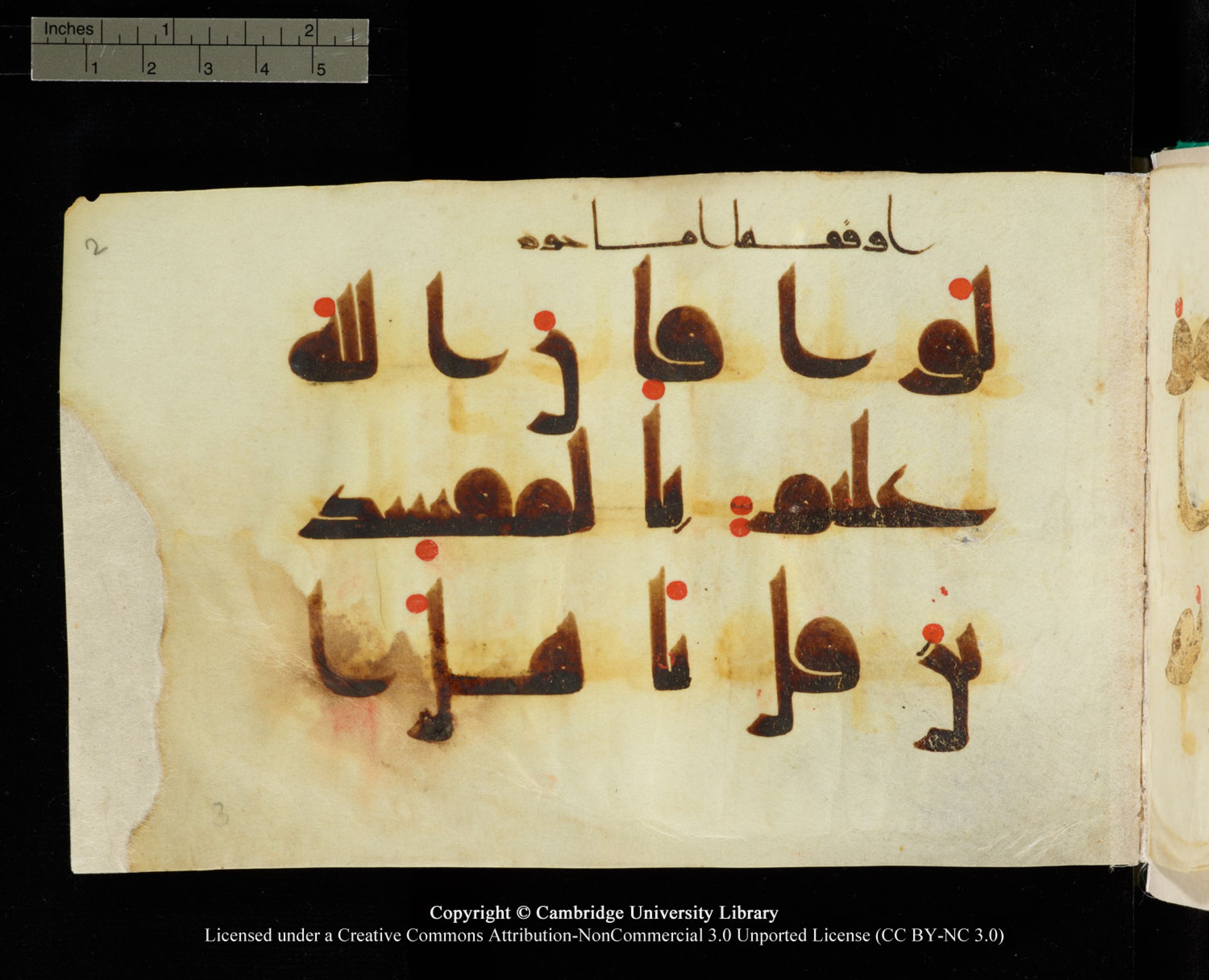 Cambridge, Cambridge University Library, MS Add.1116 (Scan 2), in Kūfī D.I script, showing Surah 3:63 from 9th Century AD (before 876 AD) found in Sinai Peninsula, currently housed at Cambridge University Library, Cambridge, UK