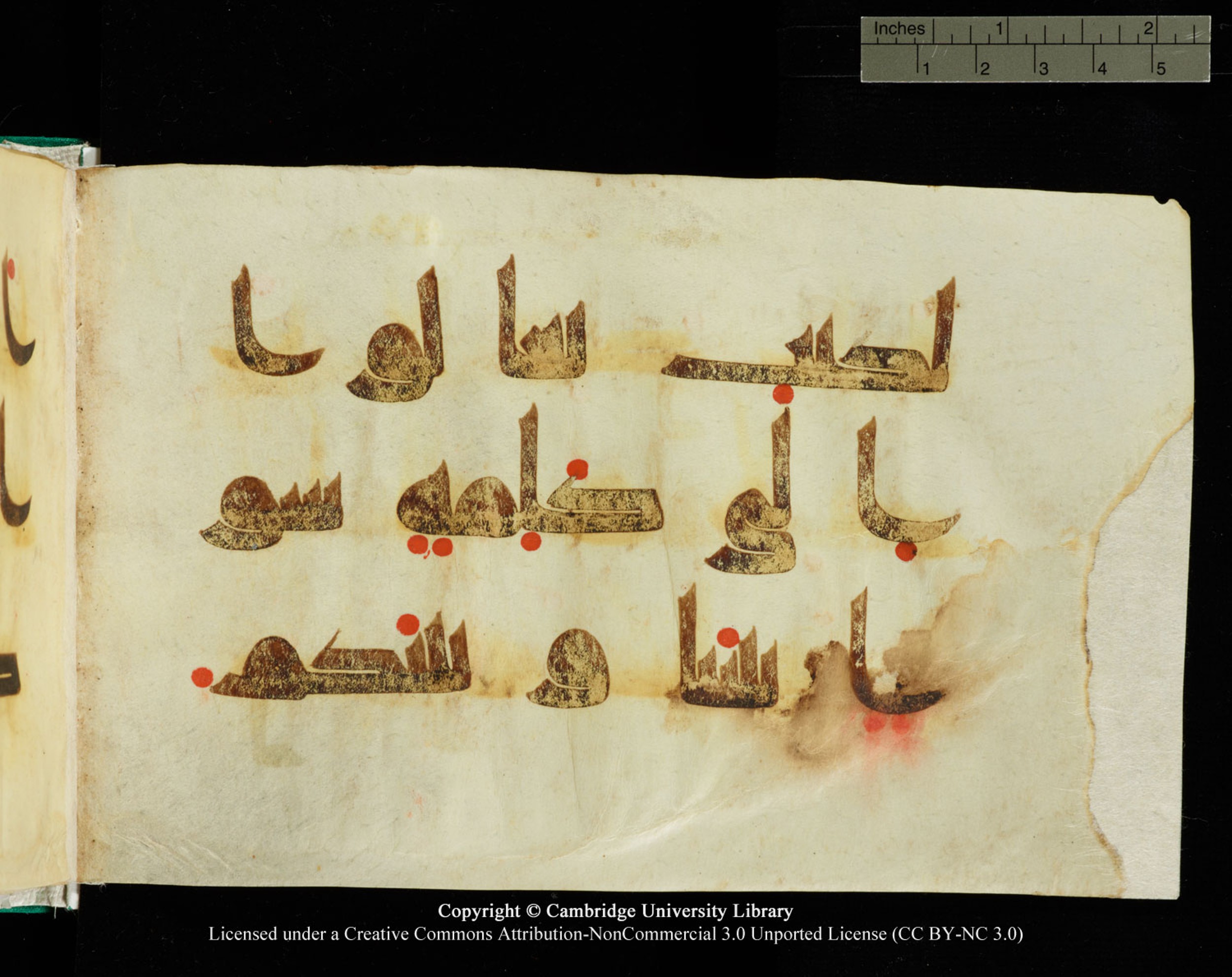 Cambridge, Cambridge University Library, MS Add.1116 (Scan 2), in Kūfī D.I script, showing Surah 3:64 from 9th Century AD (before 876 AD) found in Sinai Peninsula, currently housed at Cambridge University Library, Cambridge, UK