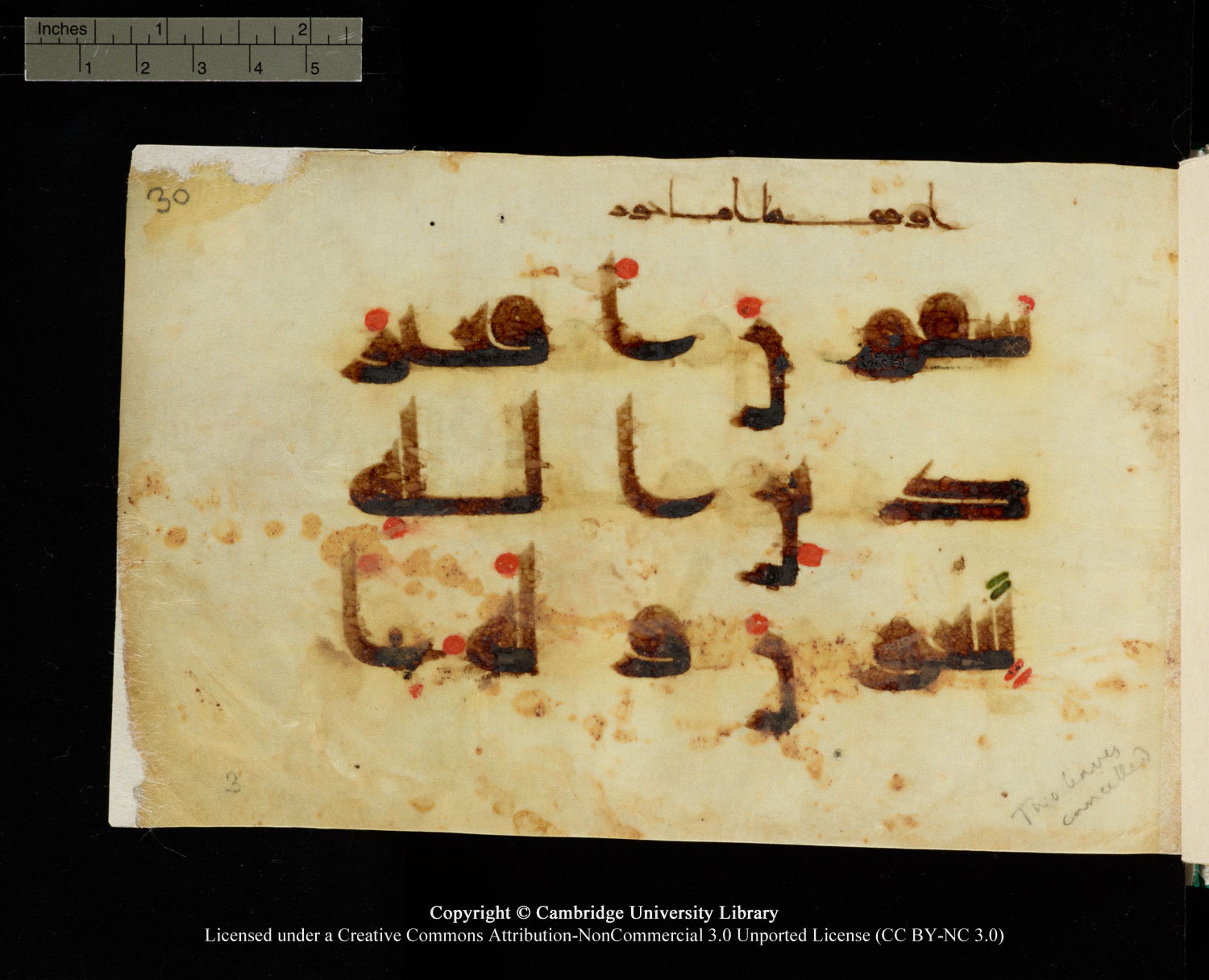 Cambridge, Cambridge University Library, MS Add.1116 (Scan 2), in Kūfī D.I script, showing Surah 3:82 from 9th Century AD (before 876 AD) found in Sinai Peninsula, currently housed at Cambridge University Library, Cambridge, UK