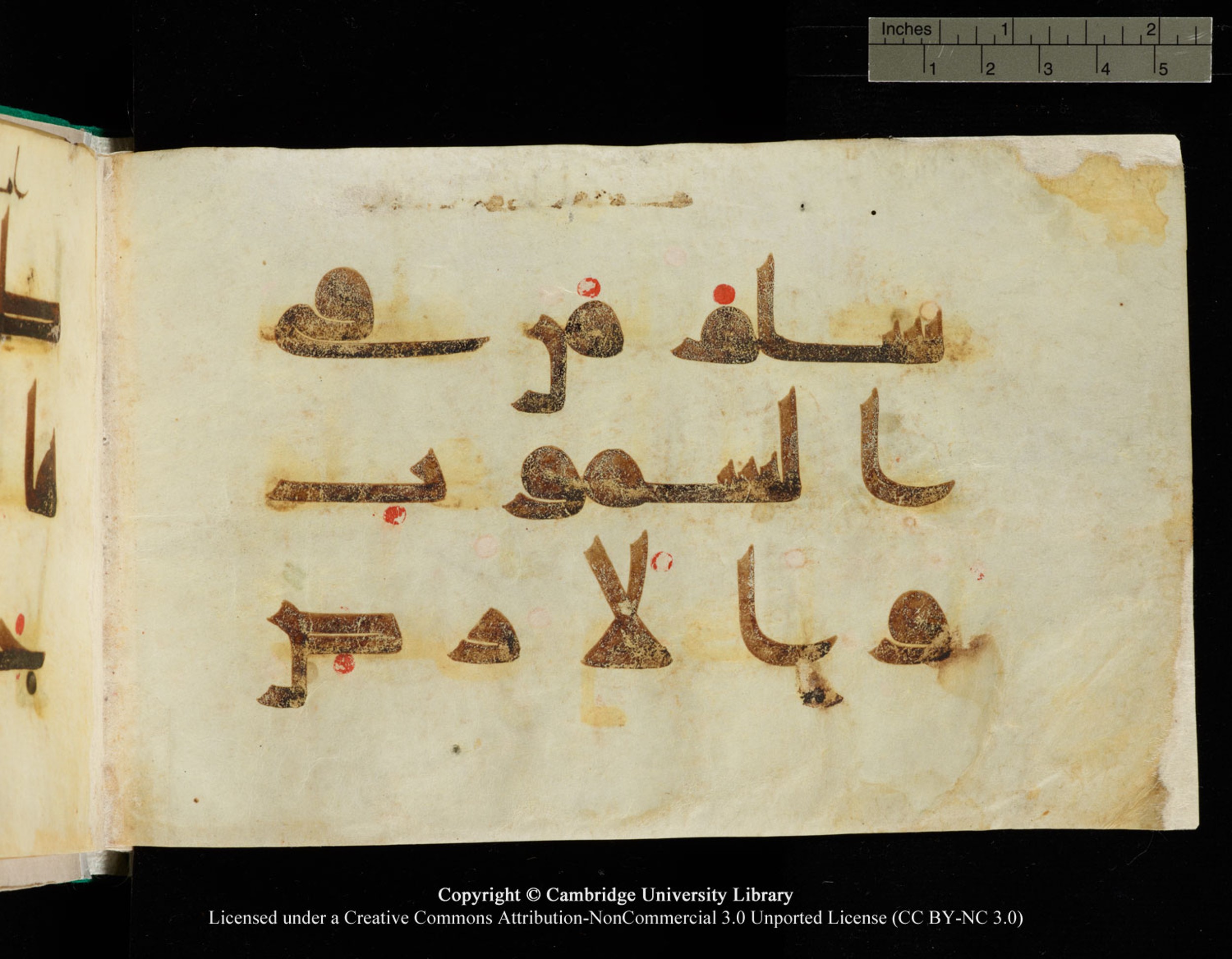 Cambridge, Cambridge University Library, MS Add.1116 (Scan 2), in Kūfī D.I script, showing Surah 3:83 from 9th Century AD (before 876 AD) found in Sinai Peninsula, currently housed at Cambridge University Library, Cambridge, UK