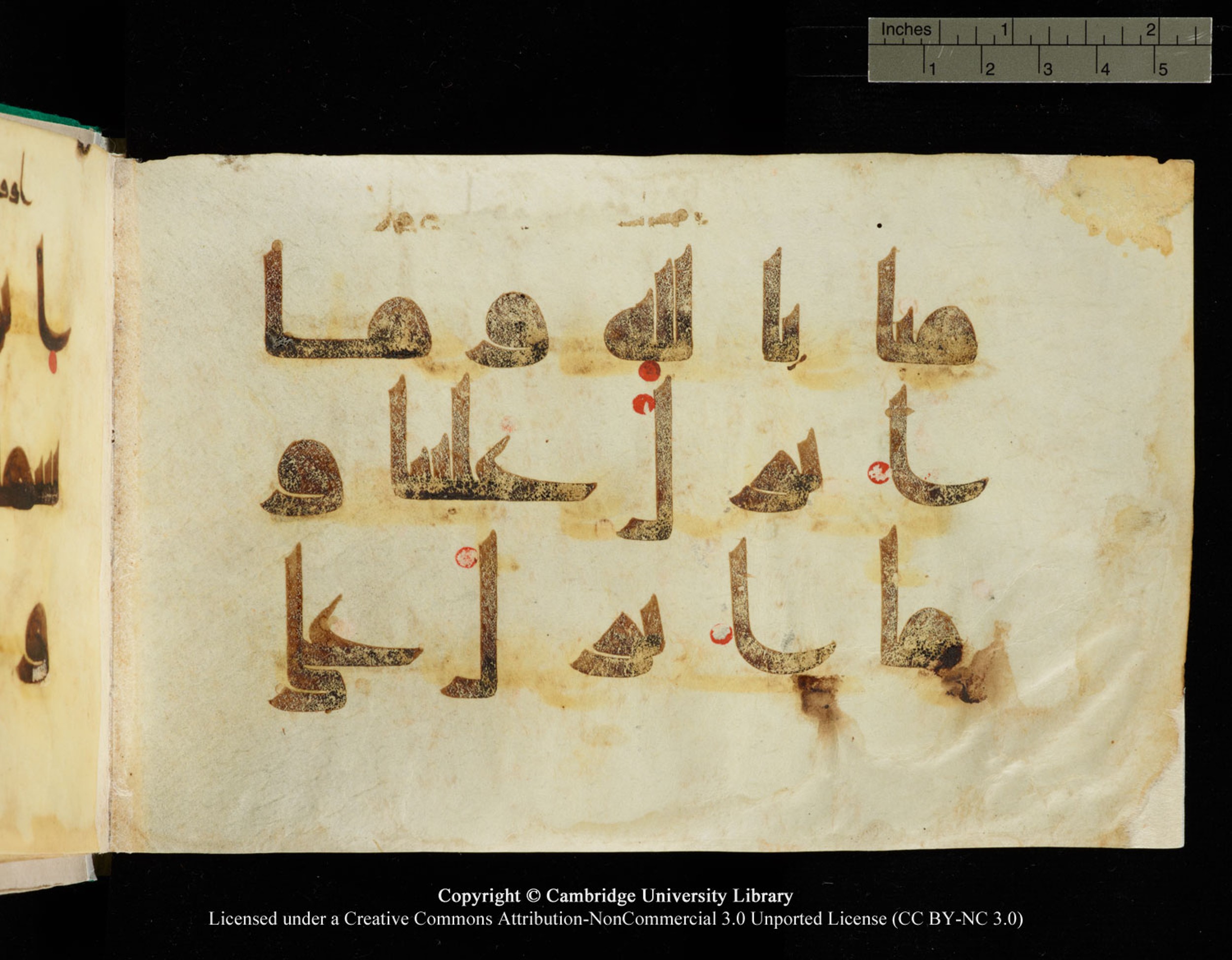 Cambridge, Cambridge University Library, MS Add.1116 (Scan 2), in Kūfī D.I script, showing Surah 3:84 from 9th Century AD (before 876 AD) found in Sinai Peninsula, currently housed at Cambridge University Library, Cambridge, UK