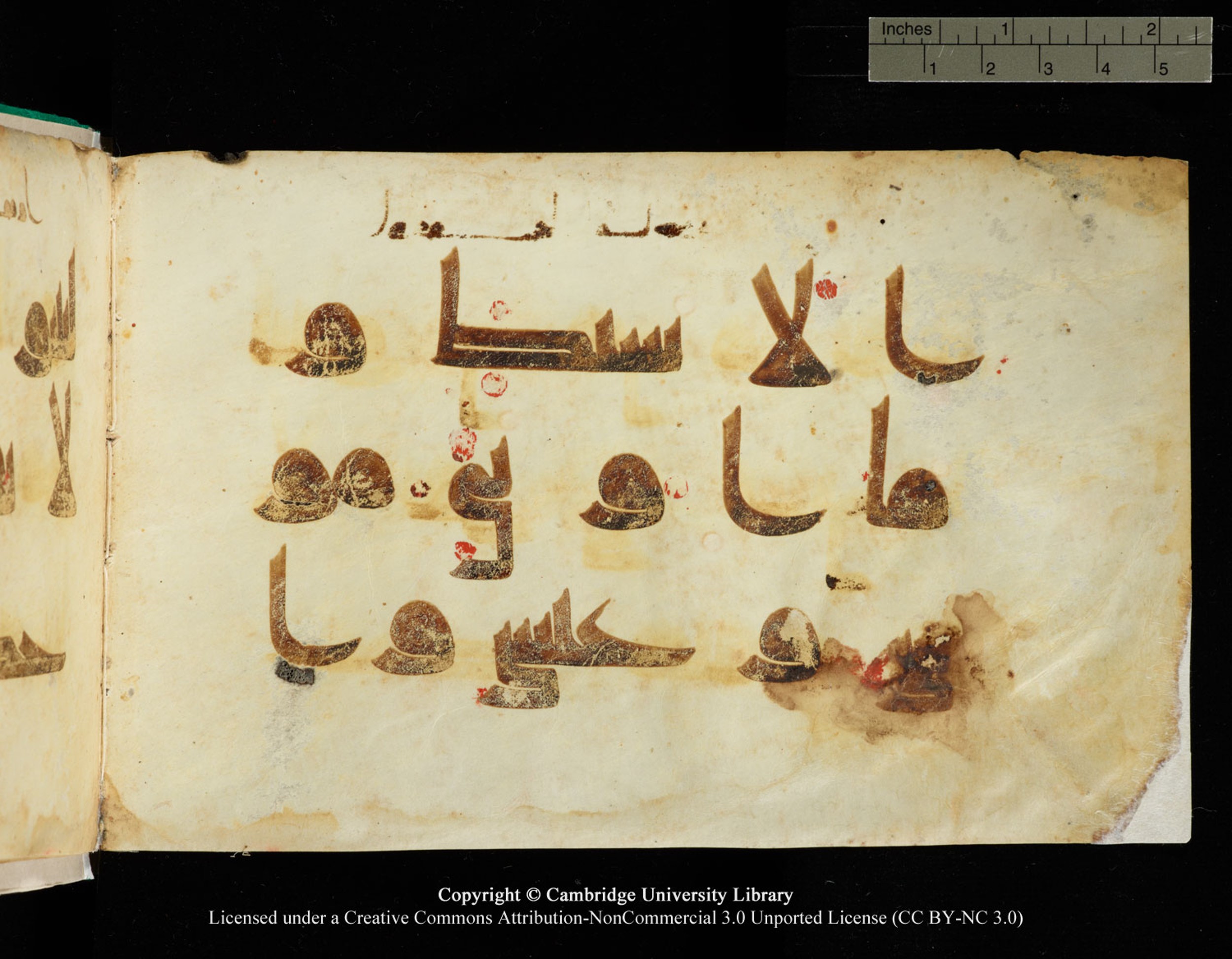 Cambridge, Cambridge University Library, MS Add.1116 (Scan 4), in Kūfī D.I script, showing Surah 3:84 from 9th Century AD (before 876 AD) found in Sinai Peninsula, currently housed at Cambridge University Library, Cambridge, UK