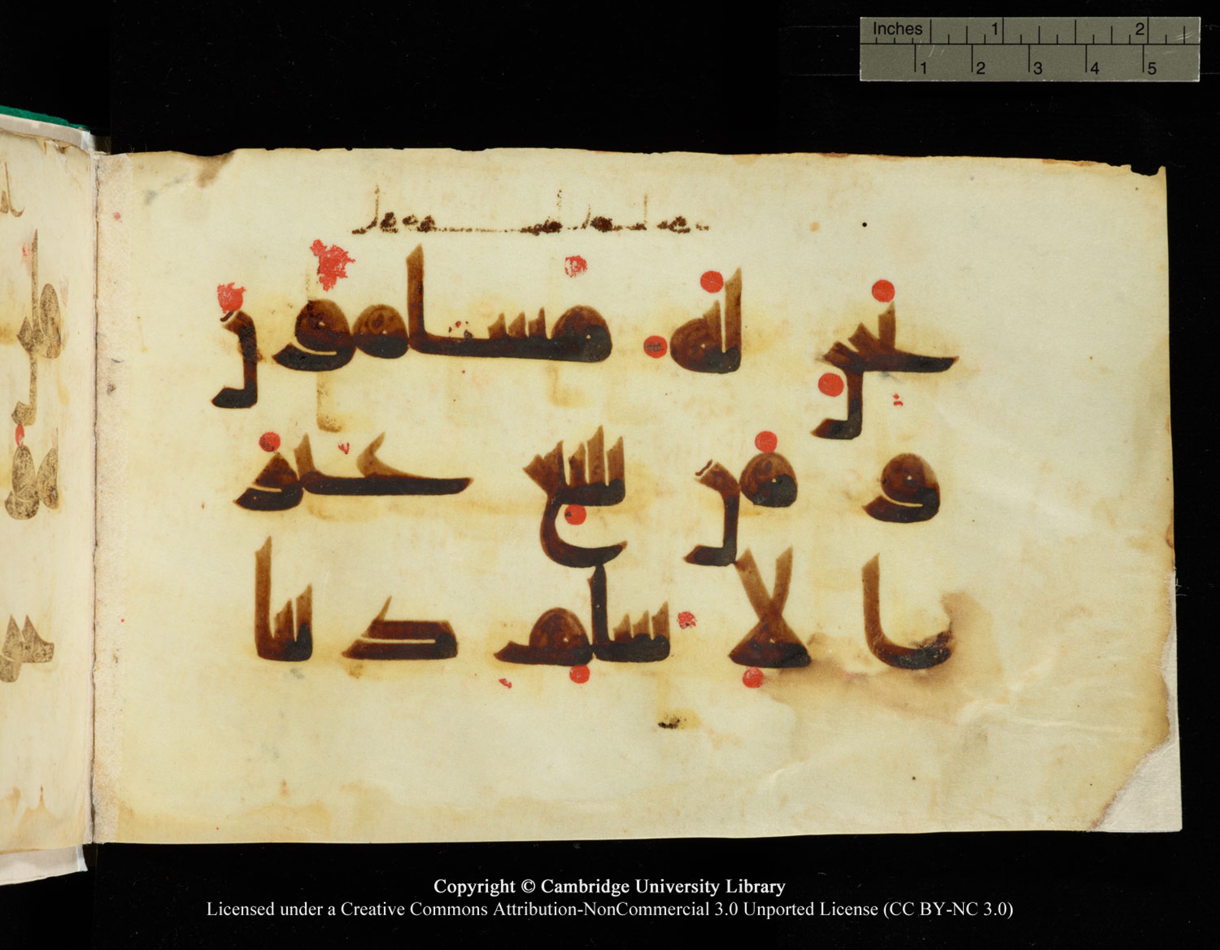 Cambridge, Cambridge University Library, MS Add.1116 (Scan 1), in Kūfī D.I script, showing Surah 3:85 from 9th Century AD (before 876 AD) found in Sinai Peninsula, currently housed at Cambridge University Library, Cambridge, UK