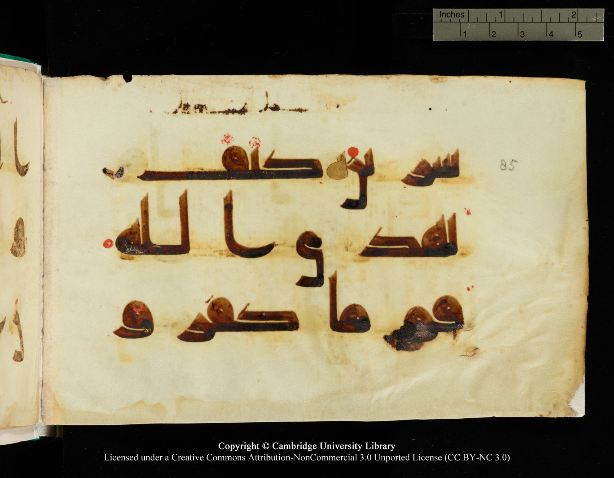 Cambridge, Cambridge University Library, MS Add.1116 (Scan 3), in Kūfī D.I script, showing Surah 3:85 from 9th Century AD (before 876 AD) found in Sinai Peninsula, currently housed at Cambridge University Library, Cambridge, UK
