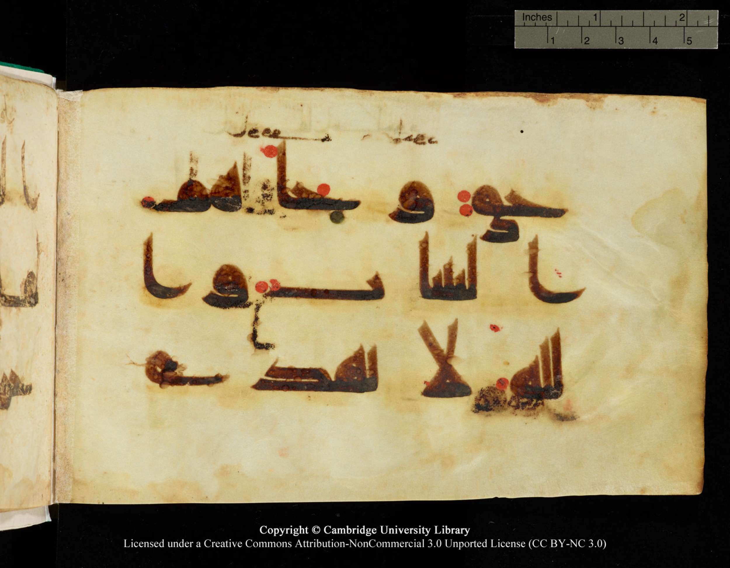 Cambridge, Cambridge University Library, MS Add.1116 (Scan 3), in Kūfī D.I script, showing Surah 3:86 from 9th Century AD (before 876 AD) found in Sinai Peninsula, currently housed at Cambridge University Library, Cambridge, UK