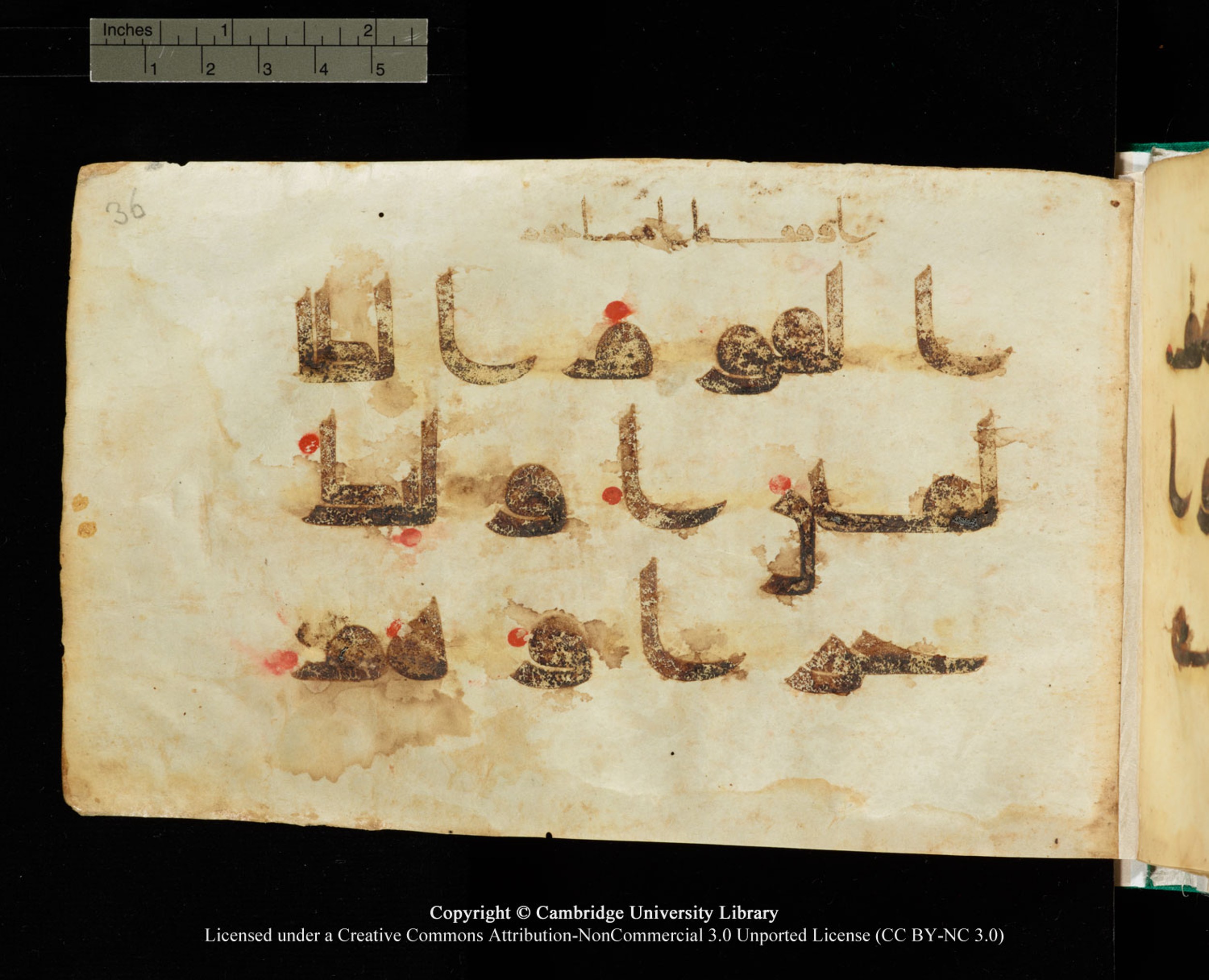 Cambridge, Cambridge University Library, MS Add.1116 (Scan 1), in Kūfī D.I script, showing Surah 3:87 from 9th Century AD (before 876 AD) found in Sinai Peninsula, currently housed at Cambridge University Library, Cambridge, UK