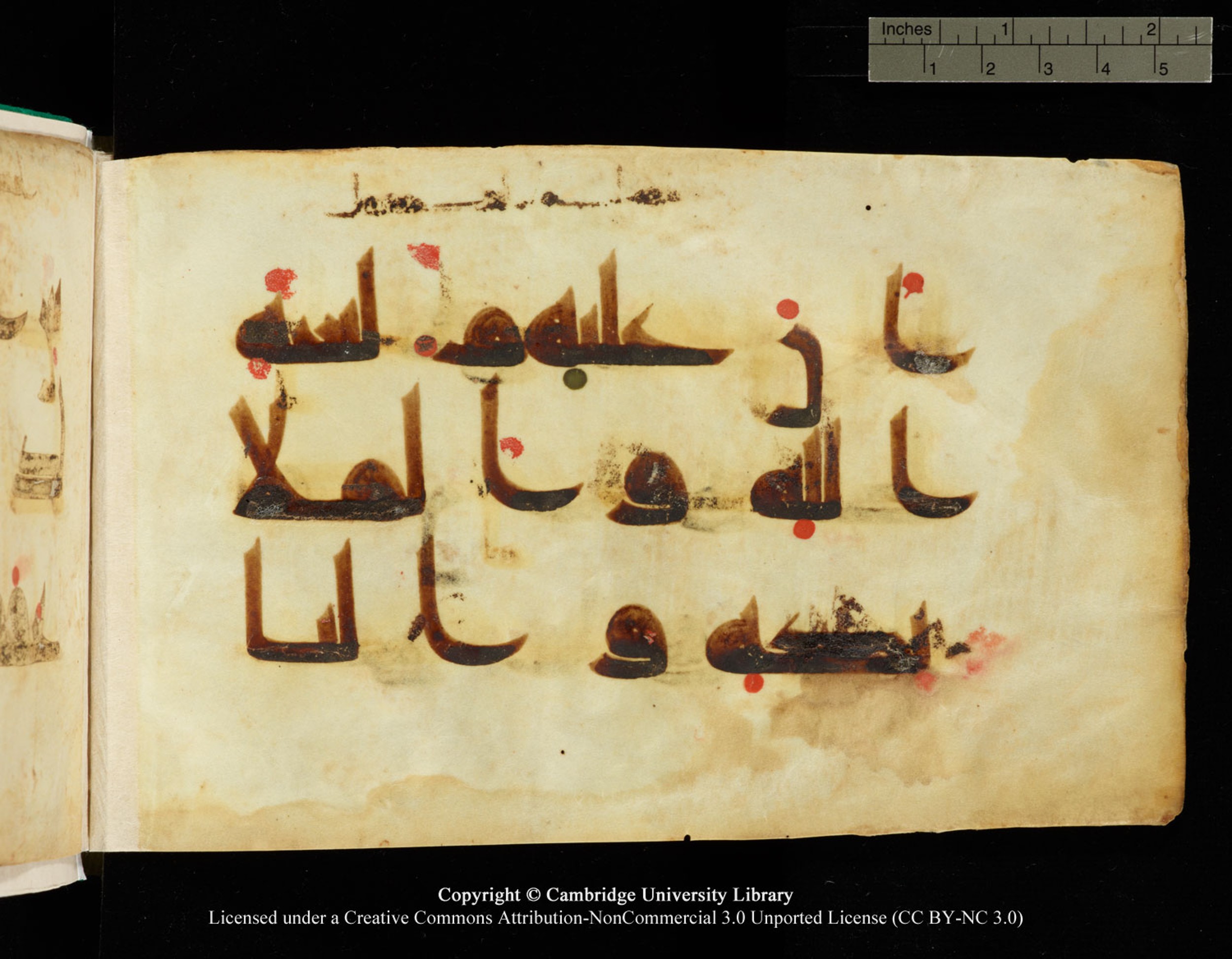 Cambridge, Cambridge University Library, MS Add.1116 (Scan 2), in Kūfī D.I script, showing Surah 3:87 from 9th Century AD (before 876 AD) found in Sinai Peninsula, currently housed at Cambridge University Library, Cambridge, UK