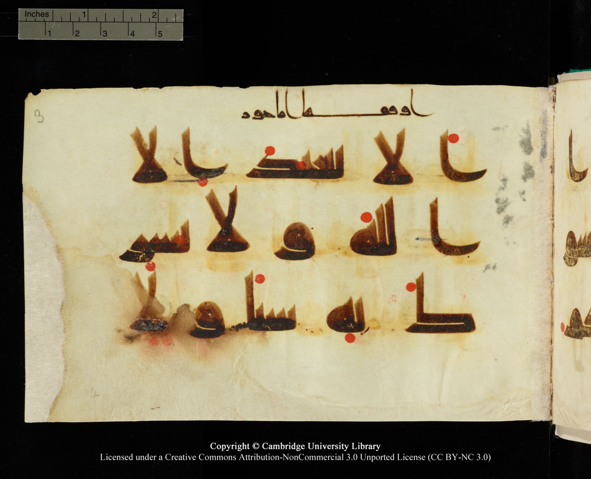 Cambridge, Cambridge University Library, MS Add.1116 (Scan 3), in Kūfī D.I script, showing Surah 3:64 from 9th Century AD (before 876 AD) found in Sinai Peninsula, currently housed at Cambridge University Library, Cambridge, UK