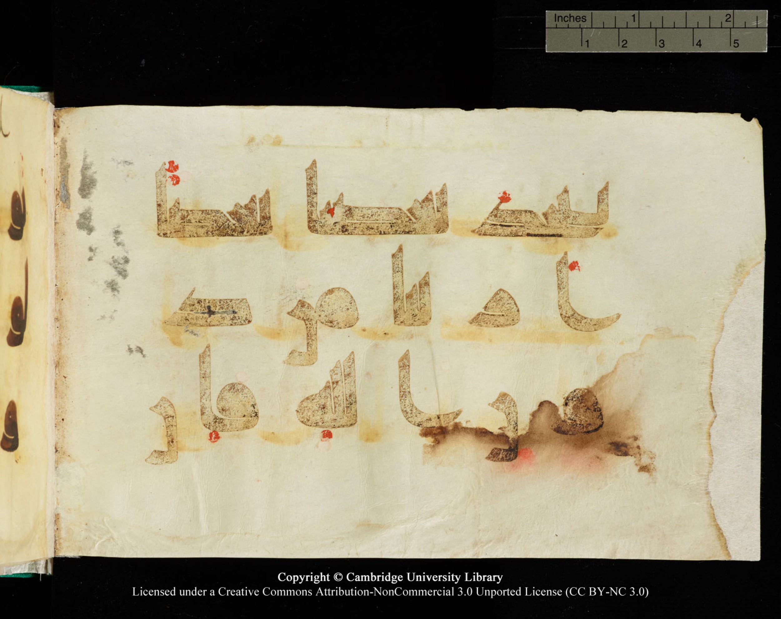 Cambridge, Cambridge University Library, MS Add.1116 (Scan 4), in Kūfī D.I script, showing Surah 3:64 from 9th Century AD (before 876 AD) found in Sinai Peninsula, currently housed at Cambridge University Library, Cambridge, UK