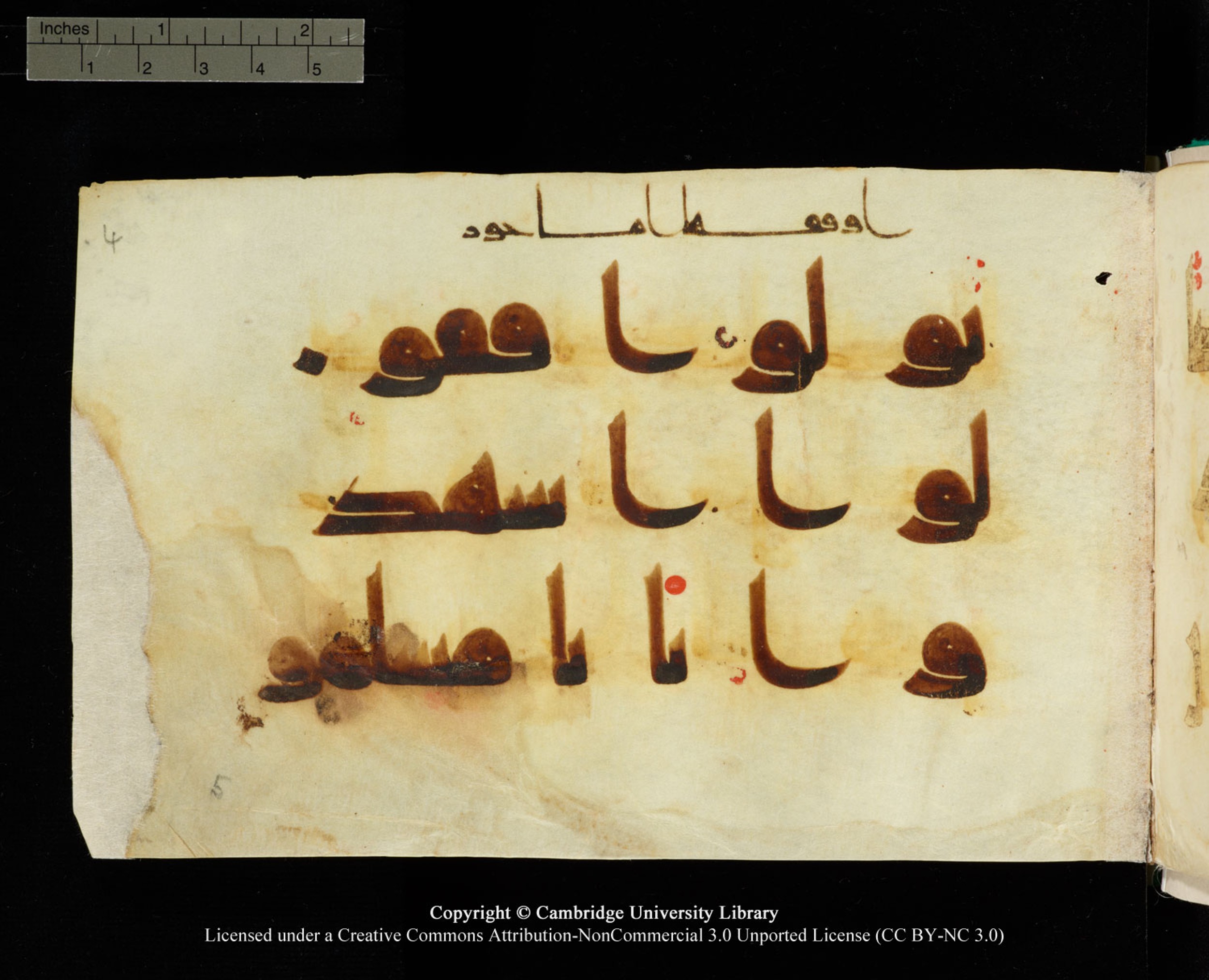 Cambridge, Cambridge University Library, MS Add.1116 (Scan 5), in Kūfī D.I script, showing Surah 3:64 from 9th Century AD (before 876 AD) found in Sinai Peninsula, currently housed at Cambridge University Library, Cambridge, UK