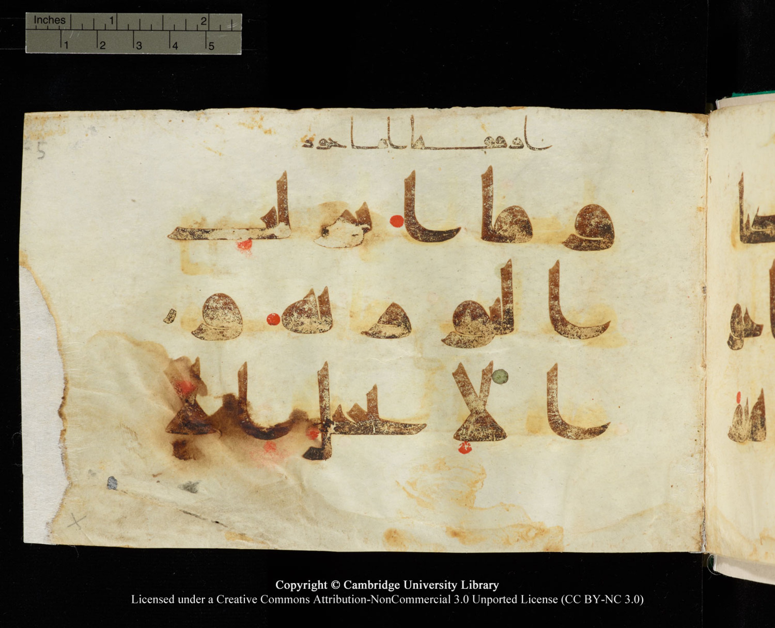 Cambridge, Cambridge University Library, MS Add.1116 (Scan 2), in Kūfī D.I script, showing Surah 3:65 from 9th Century AD (before 876 AD) found in Sinai Peninsula, currently housed at Cambridge University Library, Cambridge, UK