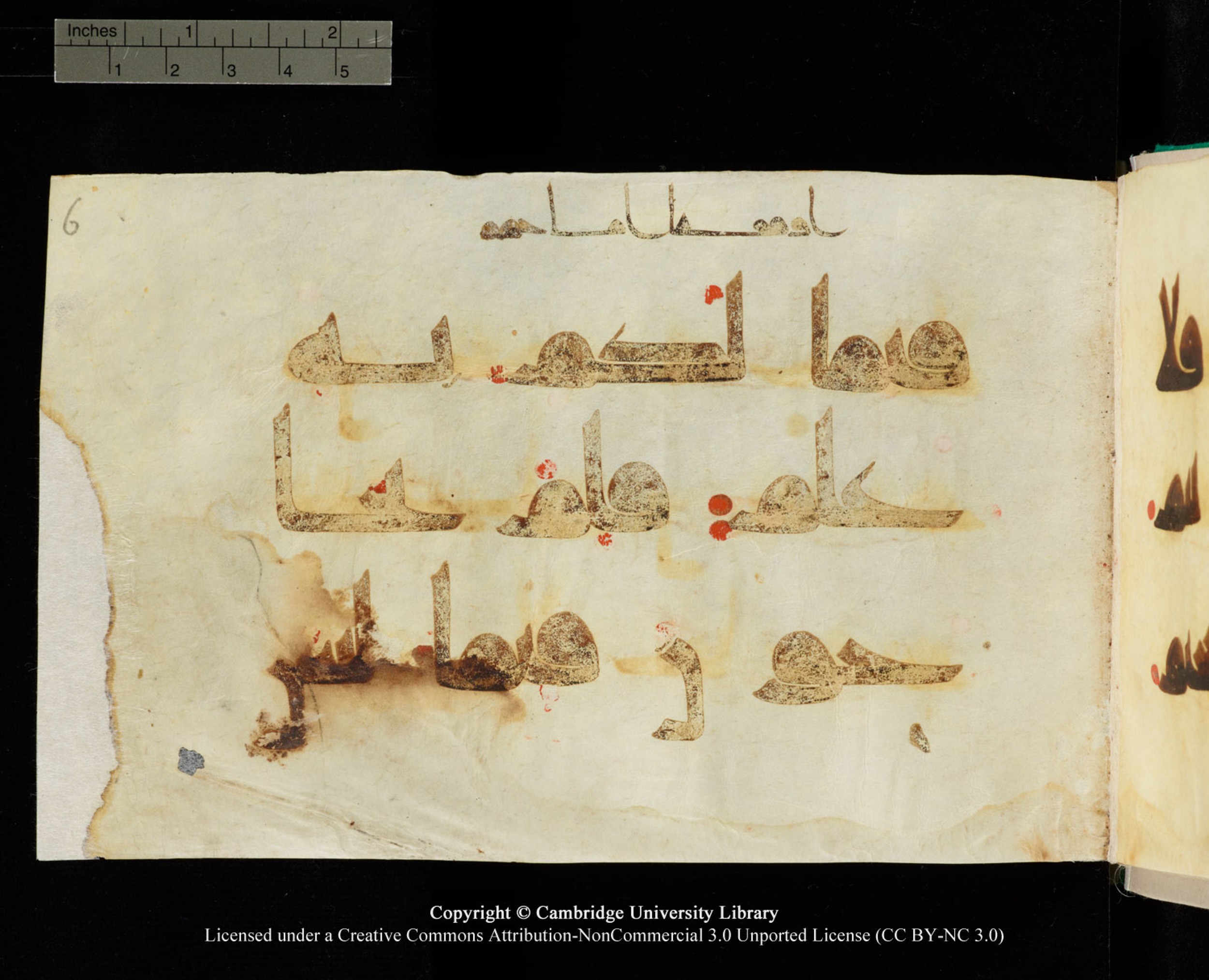 Cambridge, Cambridge University Library, MS Add.1116 (Scan 2), in Kūfī D.I script, showing Surah 3:66 from 9th Century AD (before 876 AD) found in Sinai Peninsula, currently housed at Cambridge University Library, Cambridge, UK