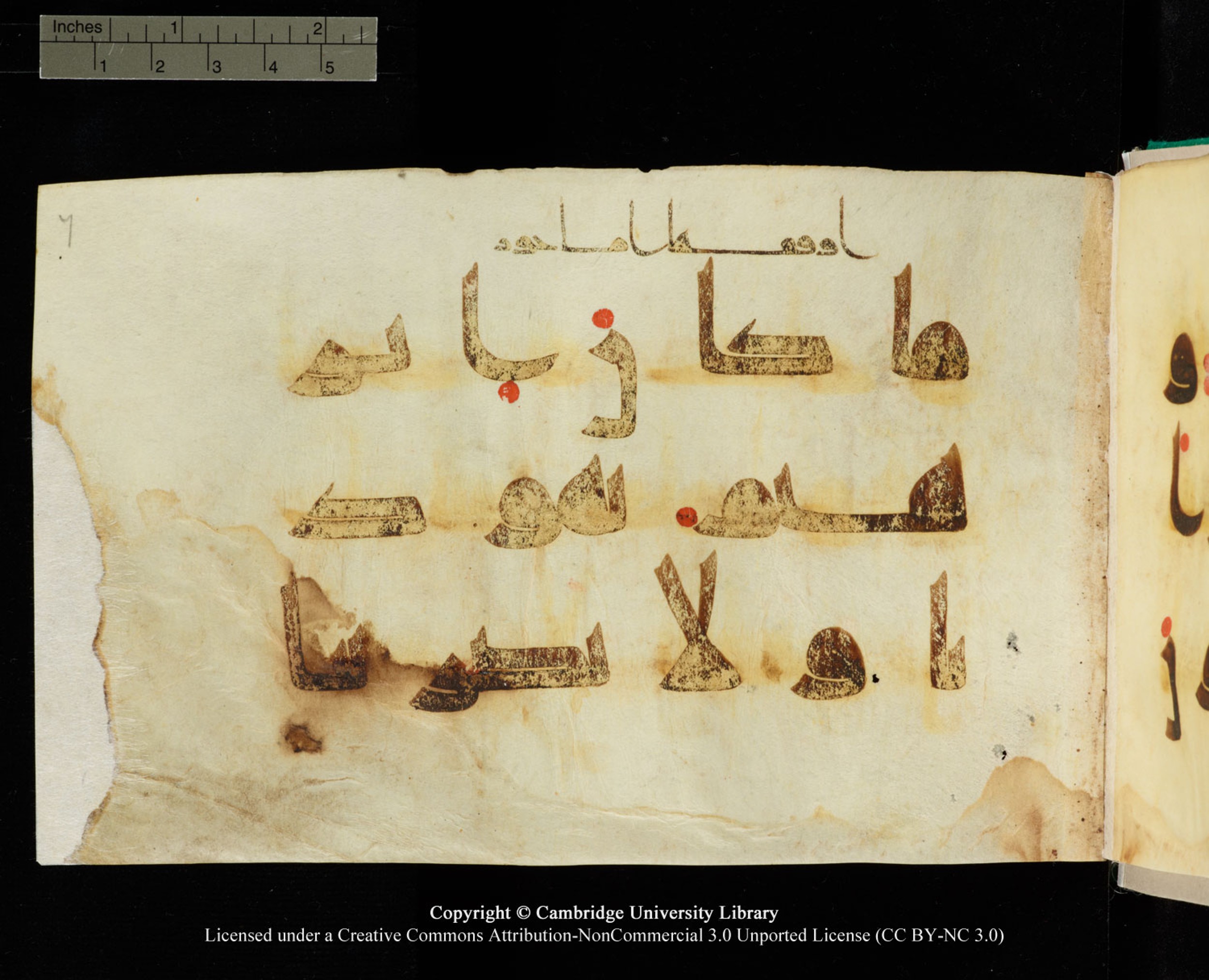 Cambridge, Cambridge University Library, MS Add.1116 (Scan 1), in Kūfī D.I script, showing Surah 3:67 from 9th Century AD (before 876 AD) found in Sinai Peninsula, currently housed at Cambridge University Library, Cambridge, UK