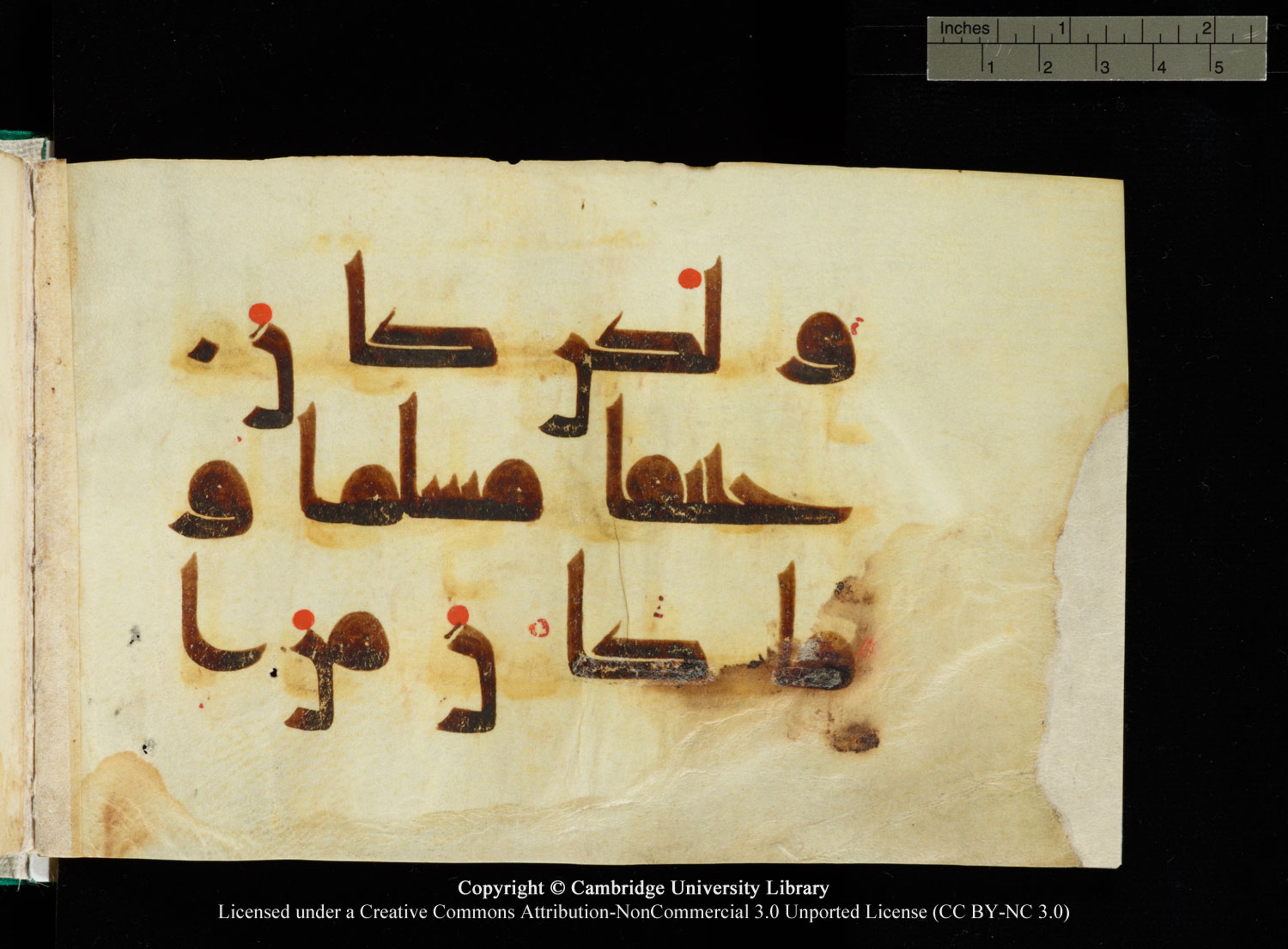 Cambridge, Cambridge University Library, MS Add.1116 (Scan 2), in Kūfī D.I script, showing Surah 3:67 from 9th Century AD (before 876 AD) found in Sinai Peninsula, currently housed at Cambridge University Library, Cambridge, UK