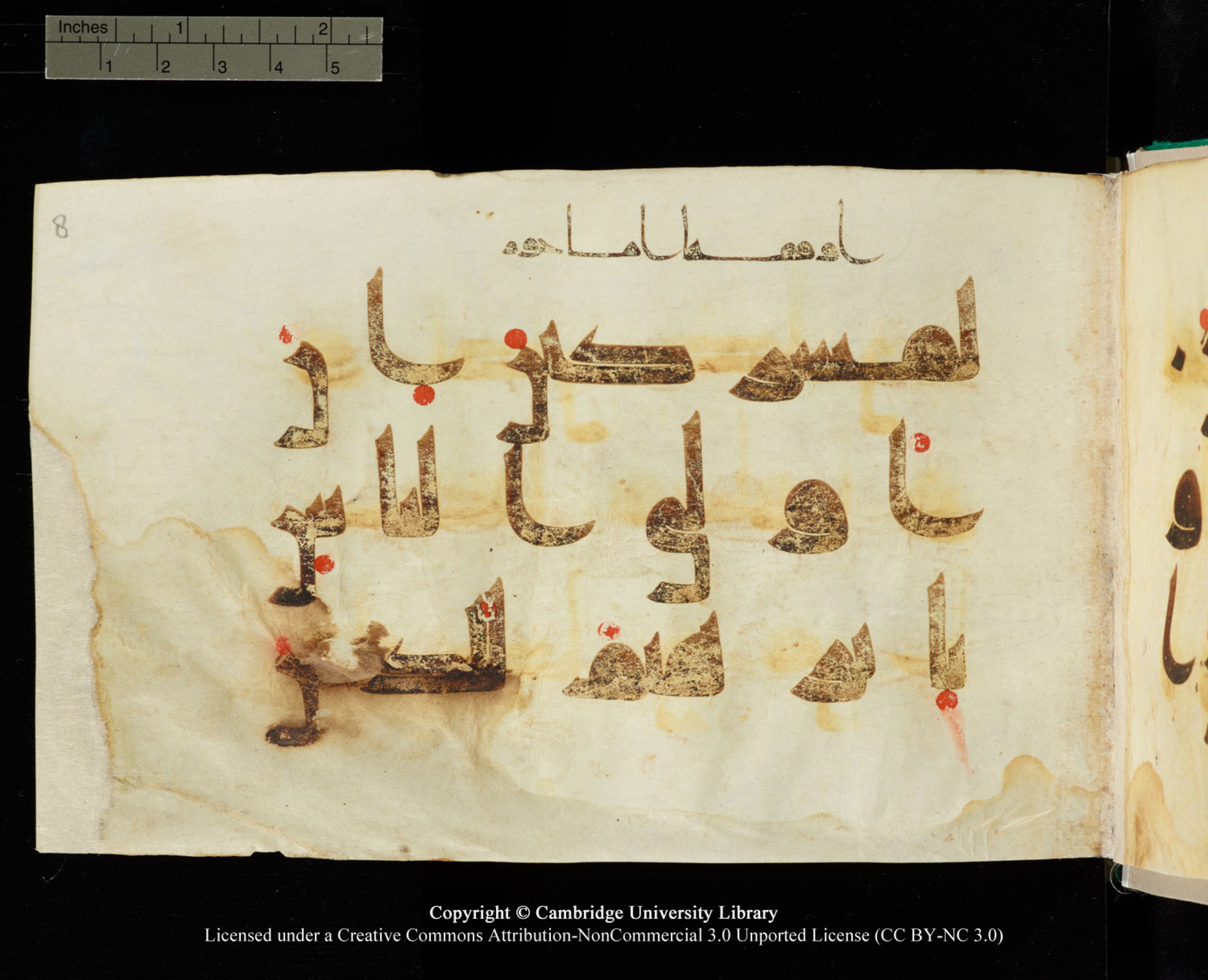Cambridge, Cambridge University Library, MS Add.1116 (Scan 1), in Kūfī D.I script, showing Surah 3:68 from 9th Century AD (before 876 AD) found in Sinai Peninsula, currently housed at Cambridge University Library, Cambridge, UK