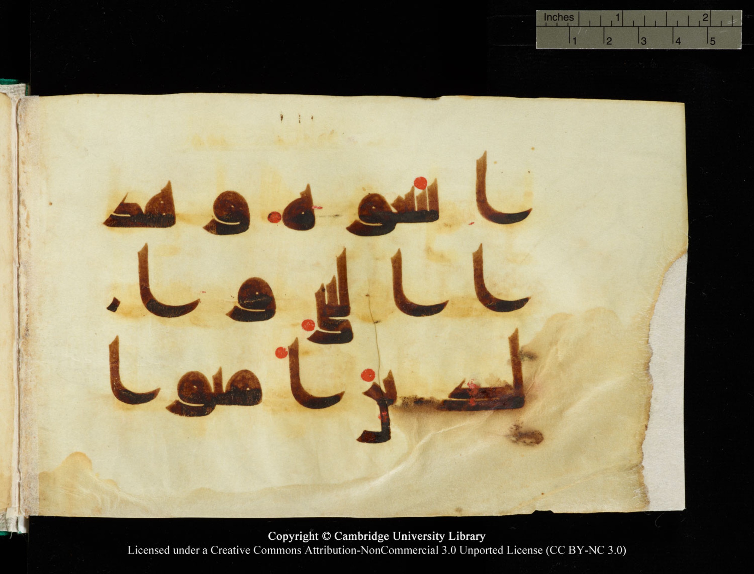 Cambridge, Cambridge University Library, MS Add.1116 (Scan 2), in Kūfī D.I script, showing Surah 3:68 from 9th Century AD (before 876 AD) found in Sinai Peninsula, currently housed at Cambridge University Library, Cambridge, UK