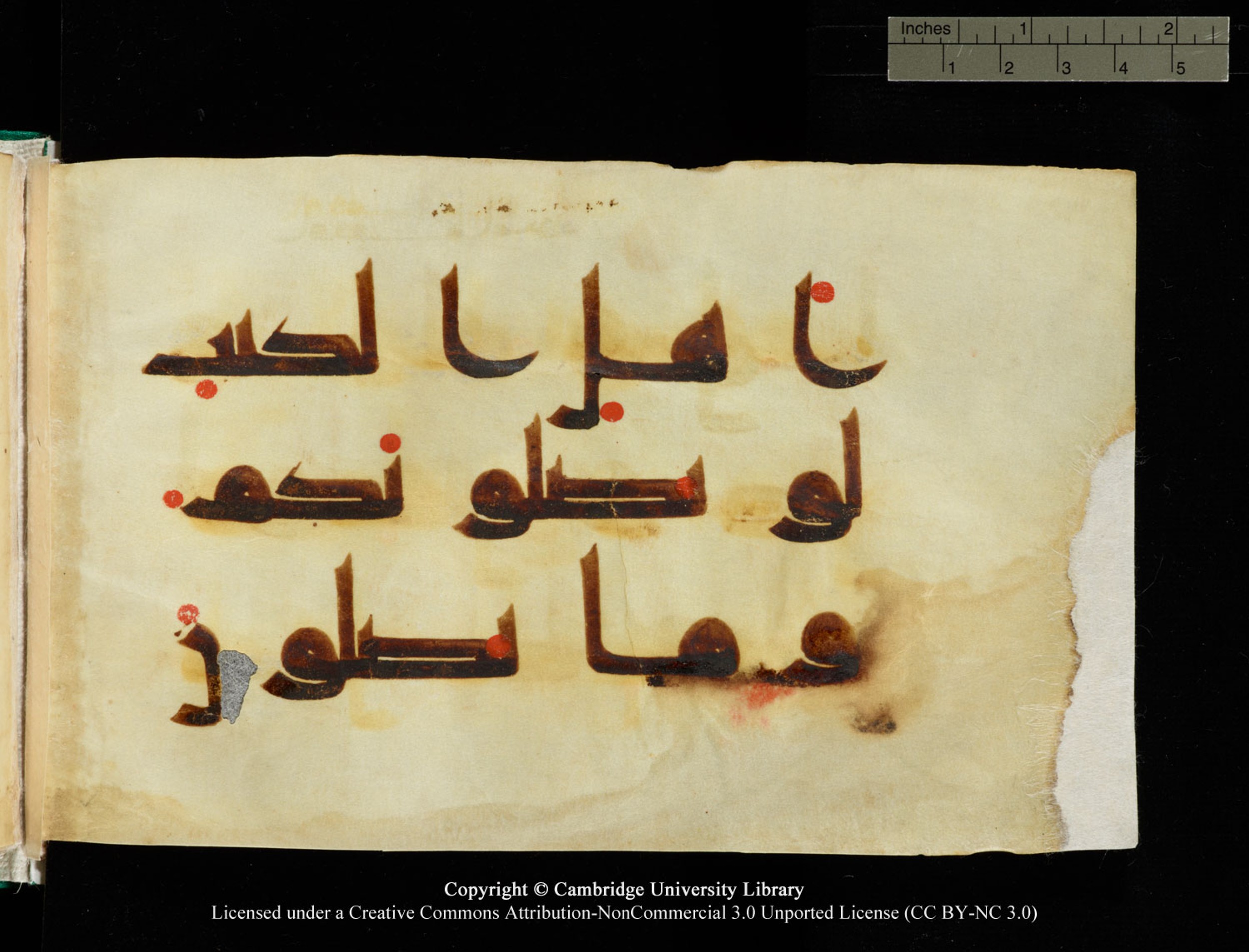 Cambridge, Cambridge University Library, MS Add.1116 (Scan 3), in Kūfī D.I script, showing Surah 3:69 from 9th Century AD (before 876 AD) found in Sinai Peninsula, currently housed at Cambridge University Library, Cambridge, UK