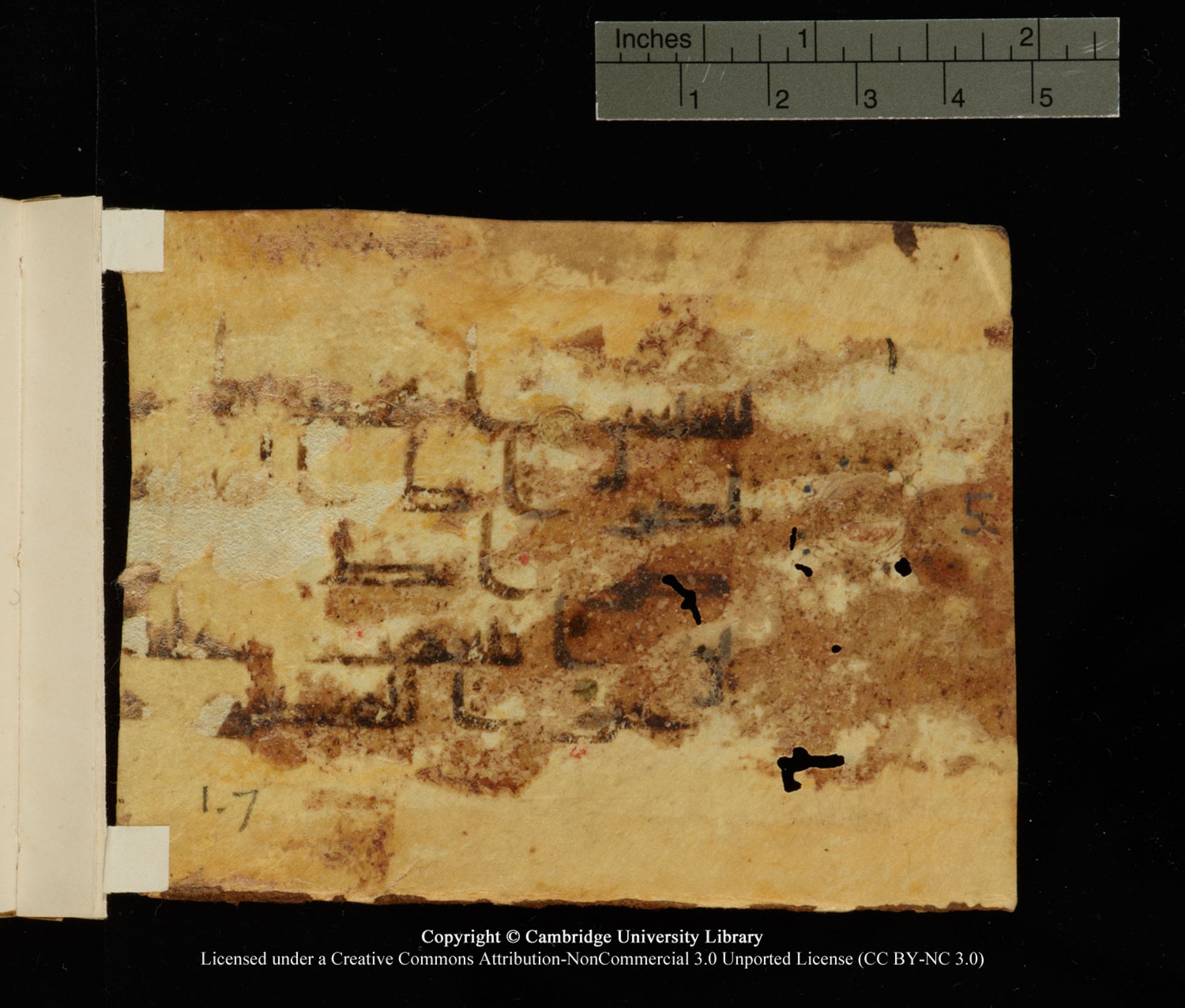 Cambridge, Cambridge University Library, MS Add.1112, in kūfī D.I / D.IV script, showing Surah 1:7 from 9th to 10th Century AD found in Sinai Peninsula, currently housed at Cambridge University Library, Cambridge