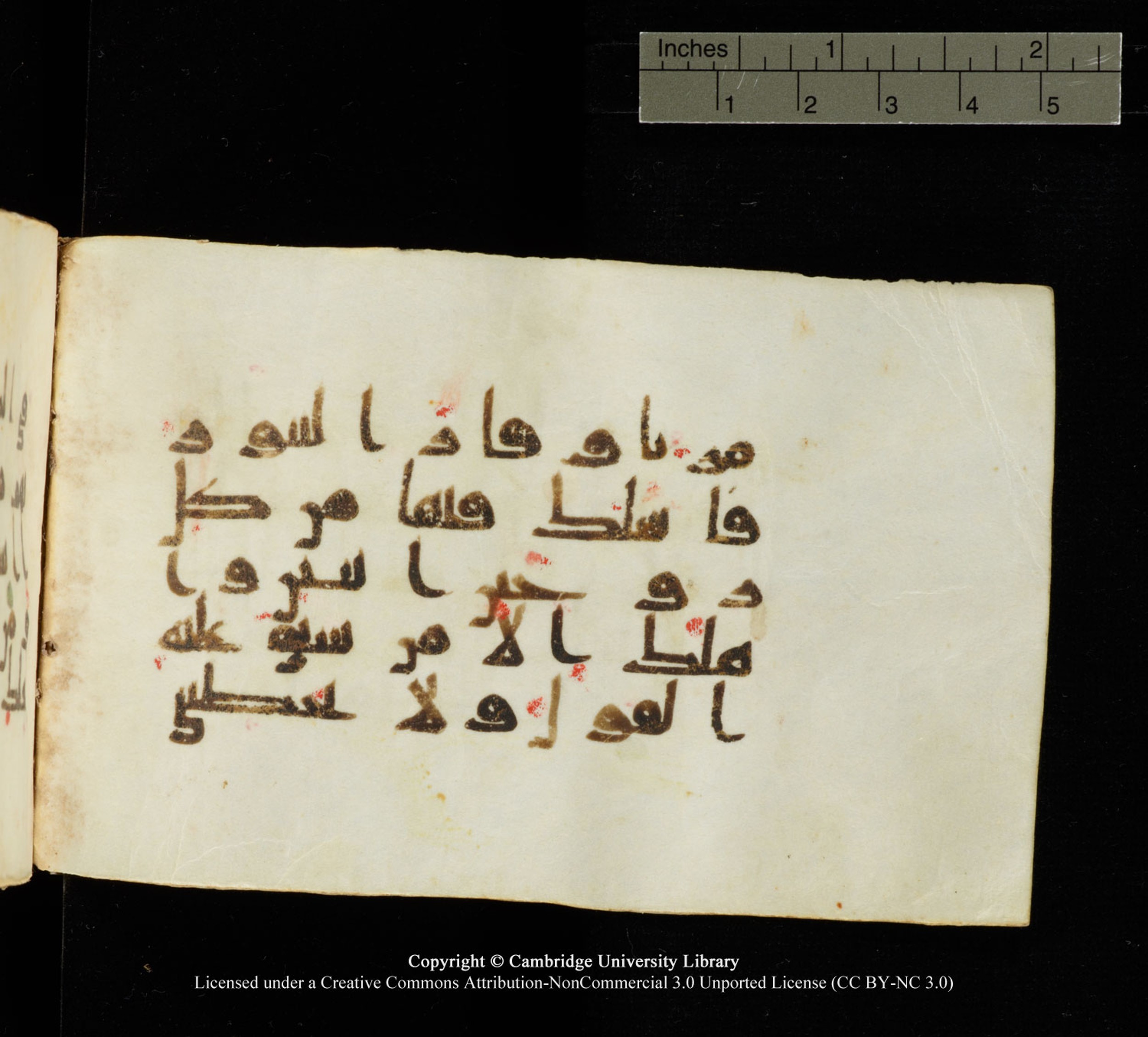 Cambridge University Library MS Add.1138 (Scan 2), in kūfī D.Va script, showing Surah 23:27 from 9th to 10th Century AD found in Sinai Peninsula, currently housed at Cambridge University Library, Cambridge