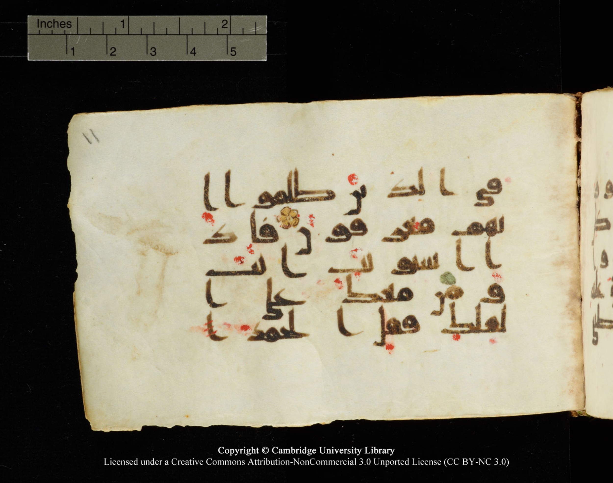 Cambridge University Library MS Add.1138 (Scan 1), in kūfī D.Va script, showing Surah 23:28 from 9th to 10th Century AD found in Sinai Peninsula, currently housed at Cambridge University Library, Cambridge