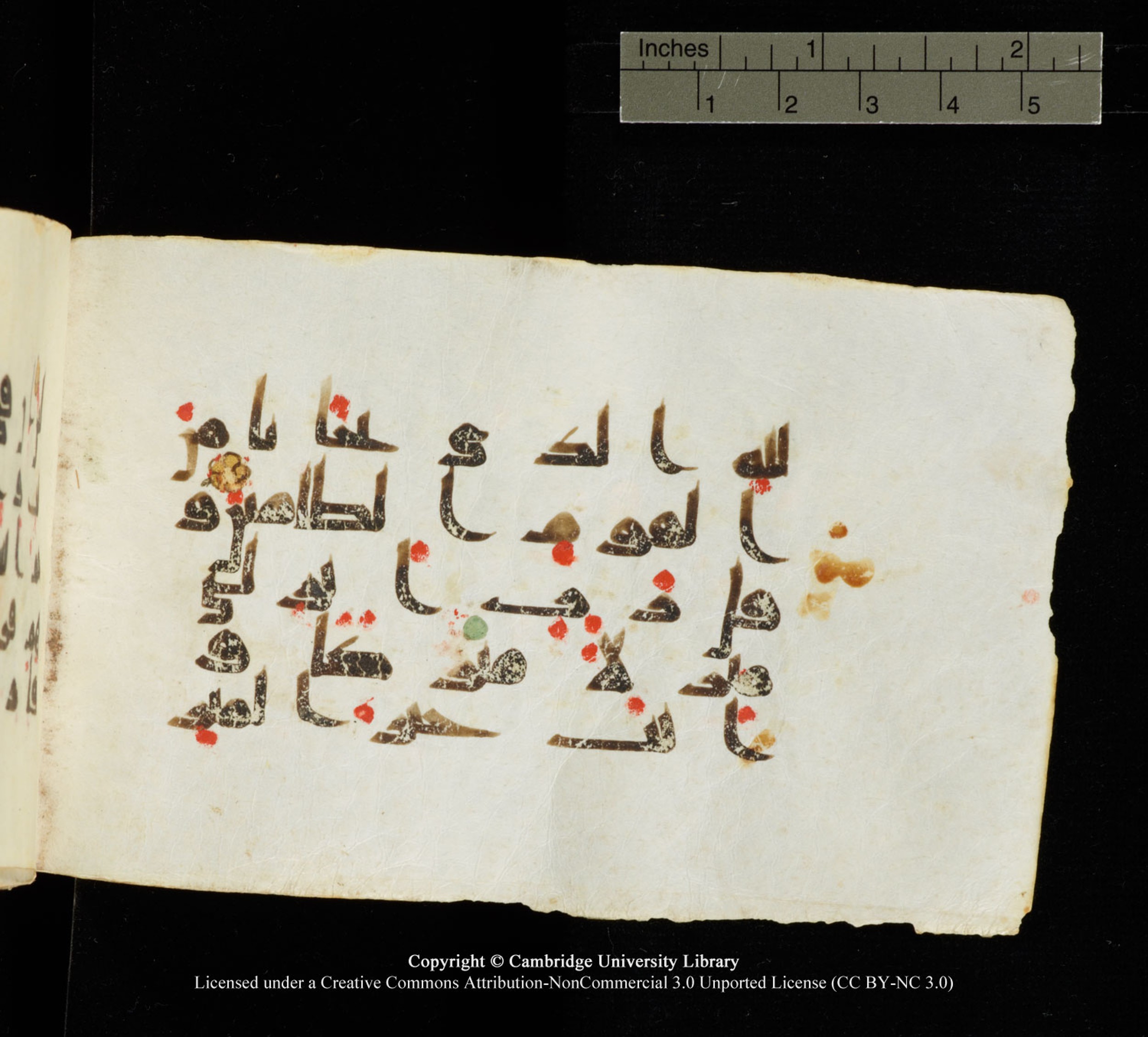 Cambridge University Library MS Add.1138 (Scan 2), in kūfī D.Va script, showing Surah 23:28 from 9th to 10th Century AD found in Sinai Peninsula, currently housed at Cambridge University Library, Cambridge