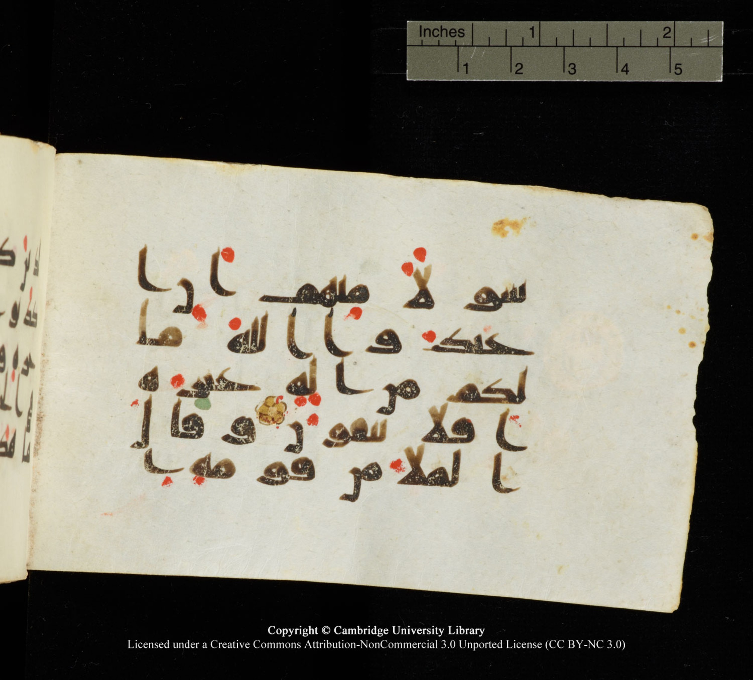Cambridge University Library MS Add.1138 (Scan 1), in kūfī D.Va script, showing Surah 23:33 from 9th to 10th Century AD found in Sinai Peninsula, currently housed at Cambridge University Library, Cambridge