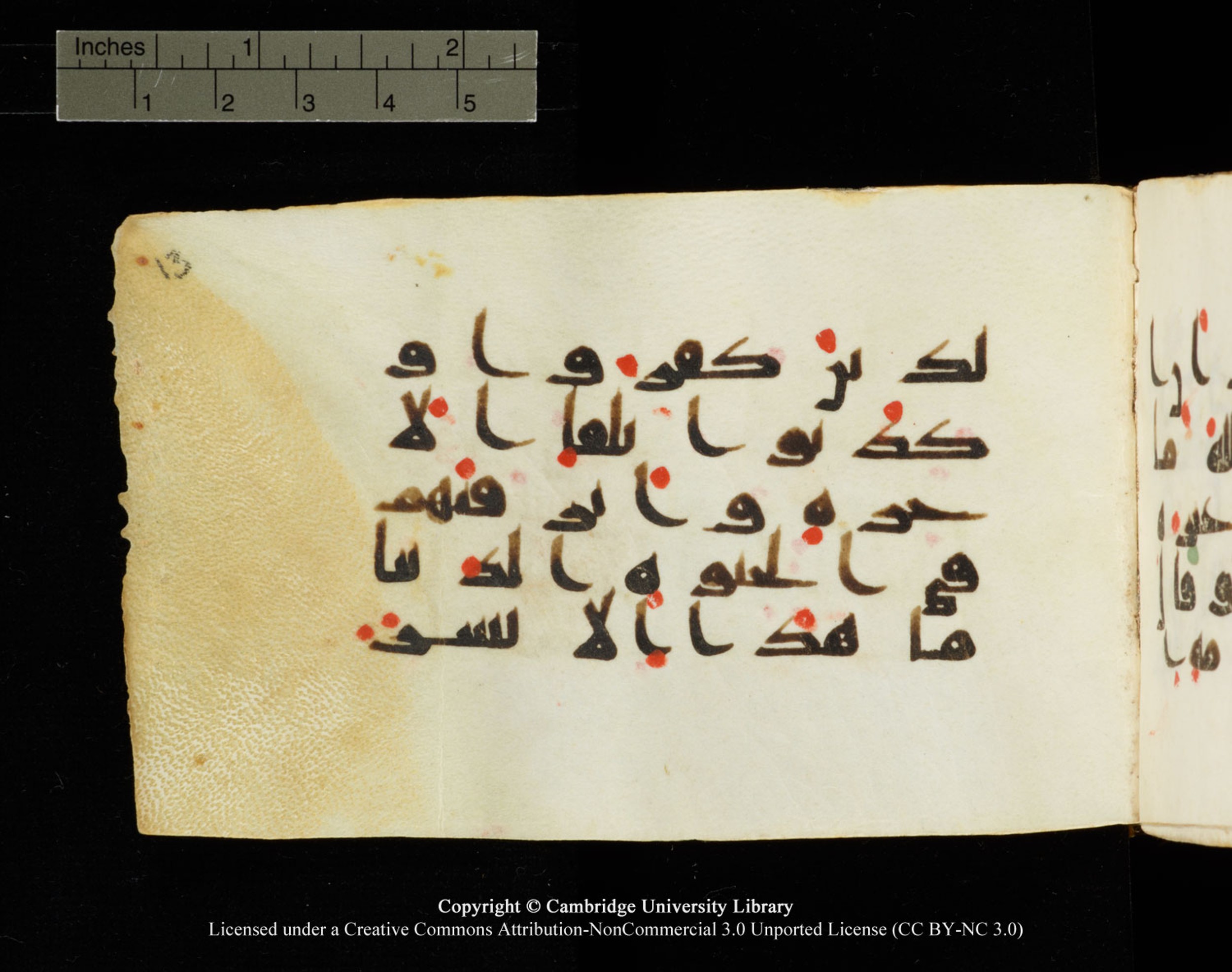 Cambridge University Library MS Add.1138 (Scan 2), in kūfī D.Va script, showing Surah 23:33 from 9th to 10th Century AD found in Sinai Peninsula, currently housed at Cambridge University Library, Cambridge