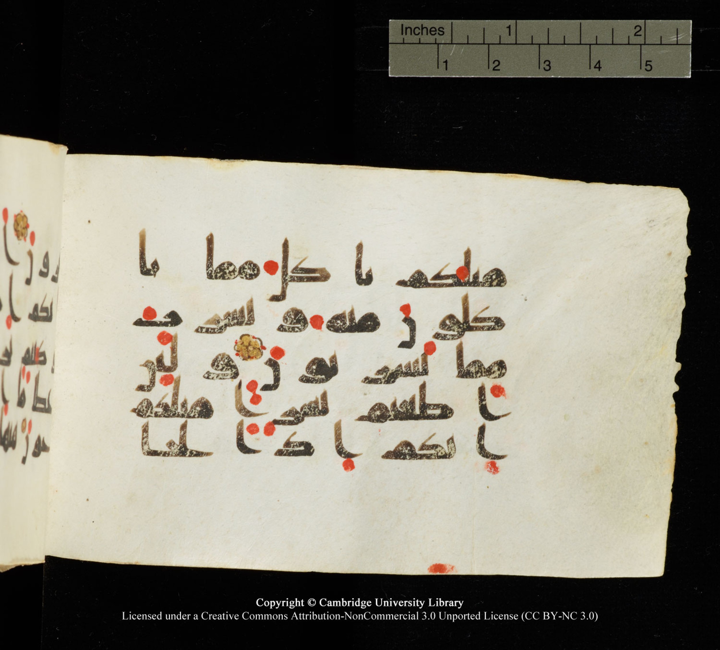 Cambridge University Library MS Add.1138 (Scan 3), in kūfī D.Va script, showing Surah 23:33 from 9th to 10th Century AD found in Sinai Peninsula, currently housed at Cambridge University Library, Cambridge