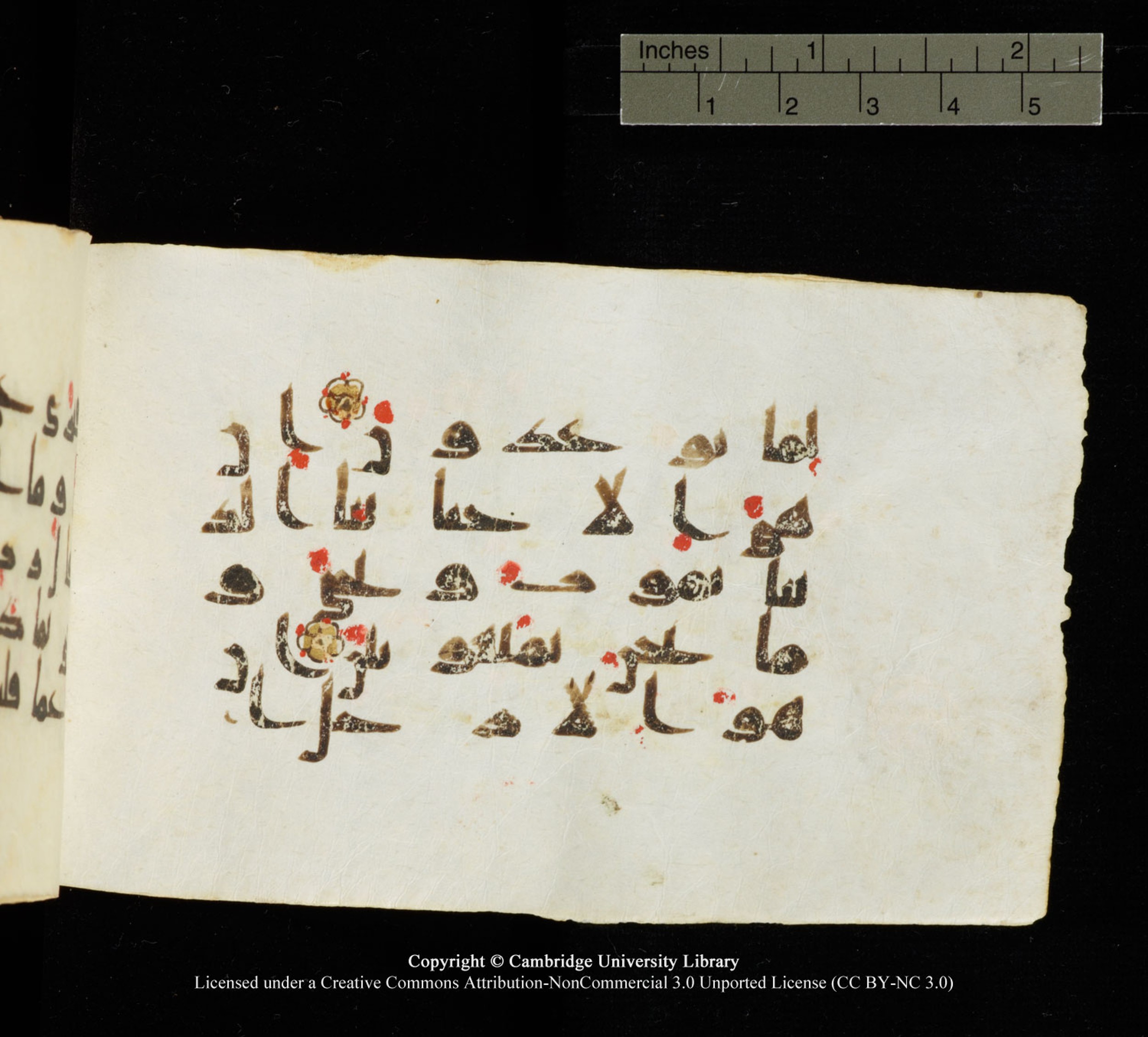 Cambridge University Library MS Add.1138, in kūfī D.Va script, showing Surah 23:37 from 9th to 10th Century AD found in Sinai Peninsula, currently housed at Cambridge University Library, Cambridge
