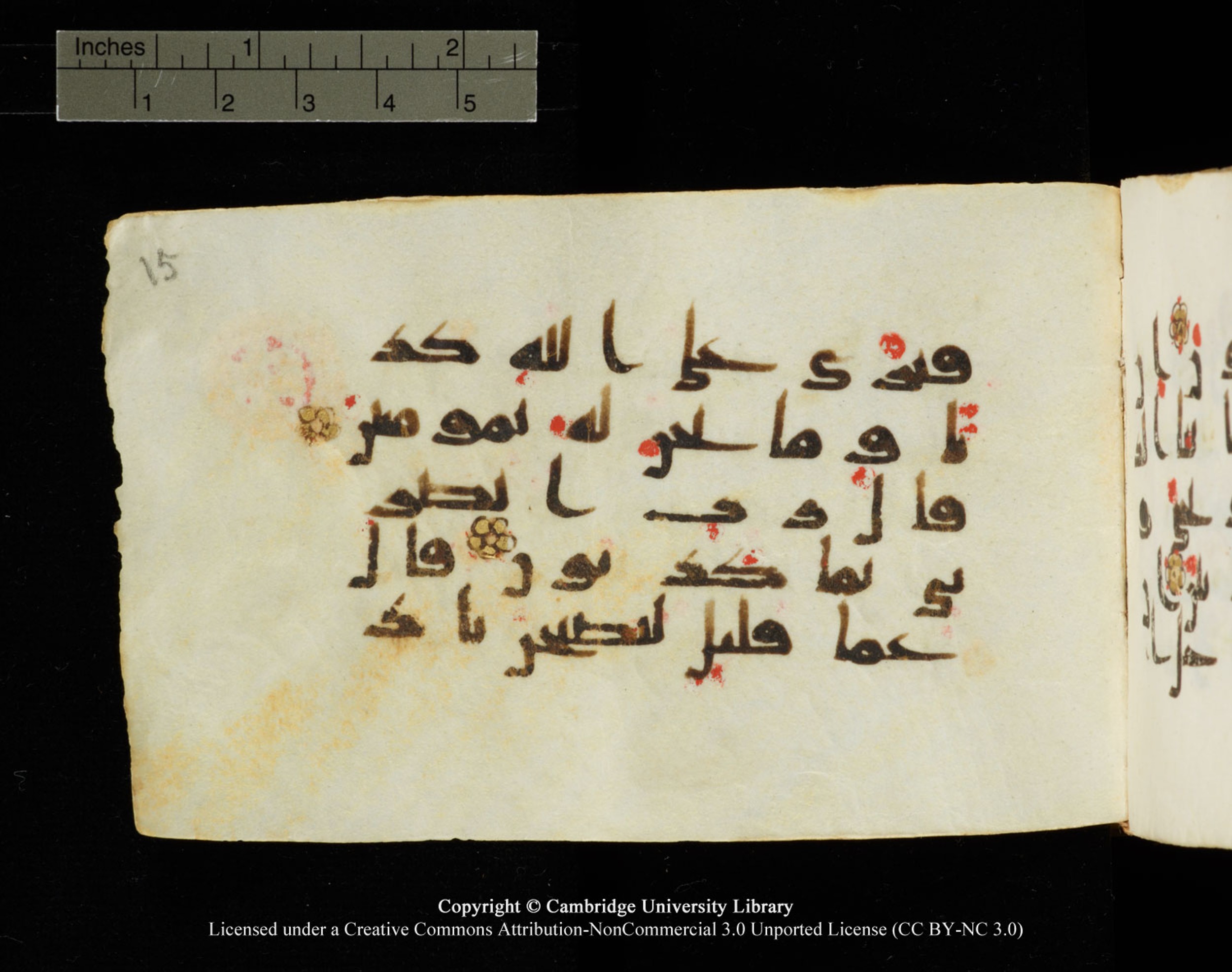 Cambridge University Library MS Add.1138 (Scan 1), in kūfī D.Va script, showing Surah 23:40 from 9th to 10th Century AD found in Sinai Peninsula, currently housed at Cambridge University Library, Cambridge