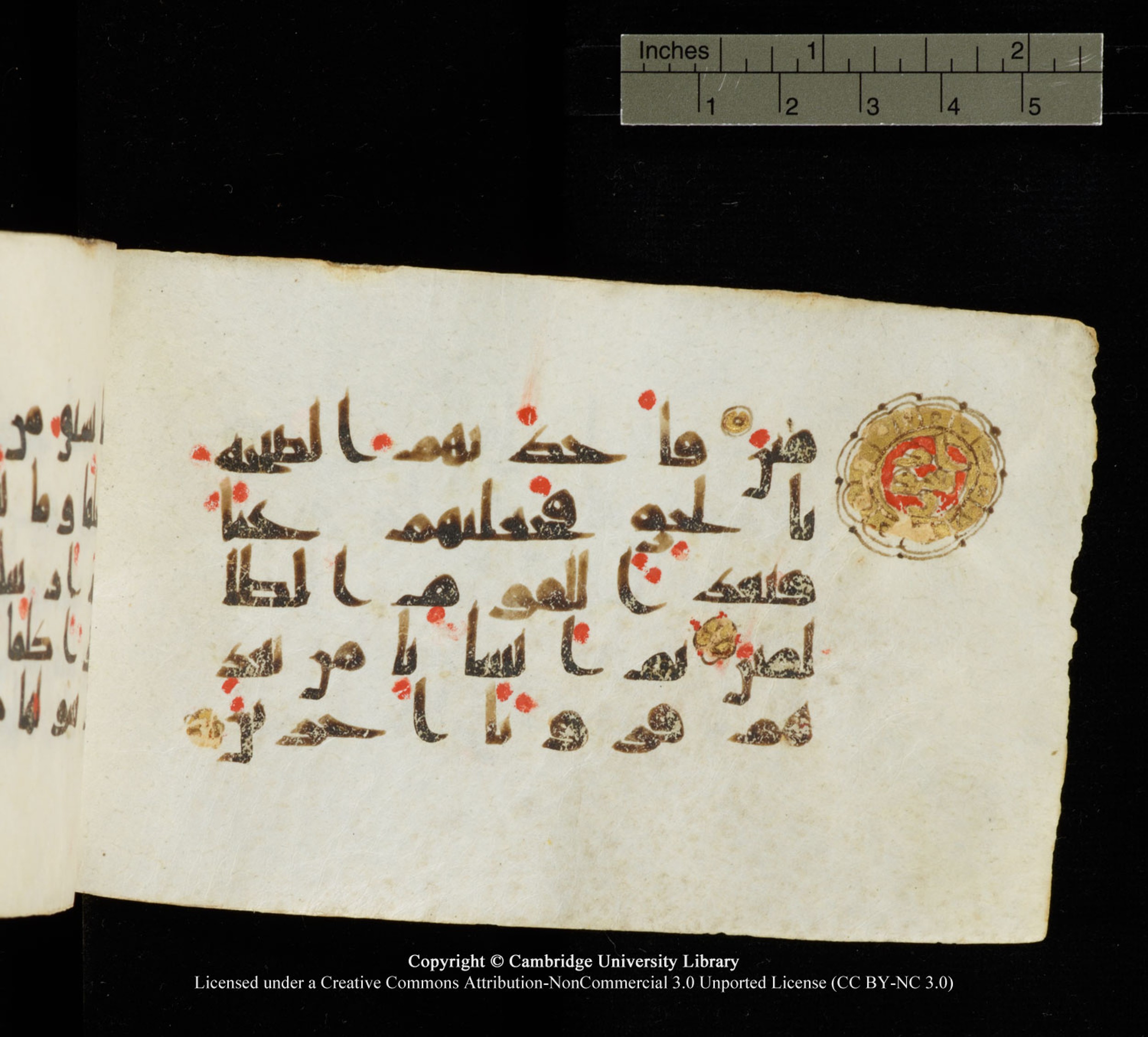 Cambridge University Library MS Add.1138 (Scan 2), in kūfī D.Va script, showing Surah 23:40 from 9th to 10th Century AD found in Sinai Peninsula, currently housed at Cambridge University Library, Cambridge