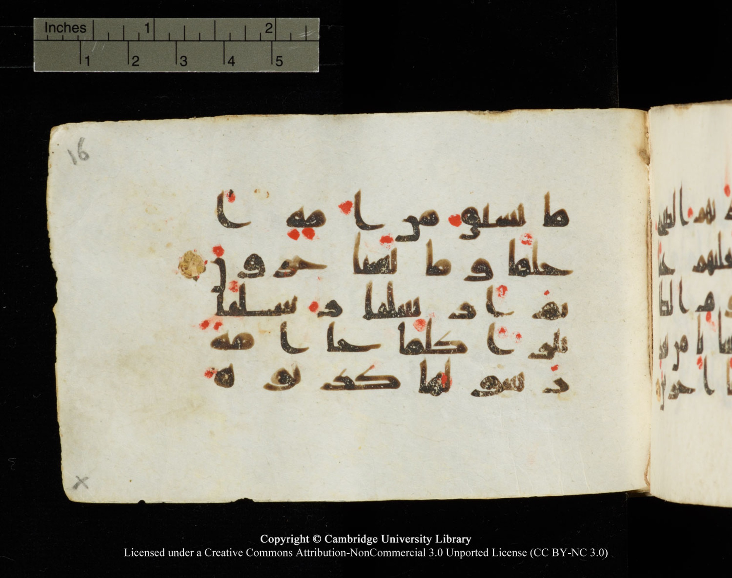 Cambridge University Library MS Add.1138, in kūfī D.Va script, showing Surah 23:43 from 9th to 10th Century AD found in Sinai Peninsula, currently housed at Cambridge University Library, Cambridge