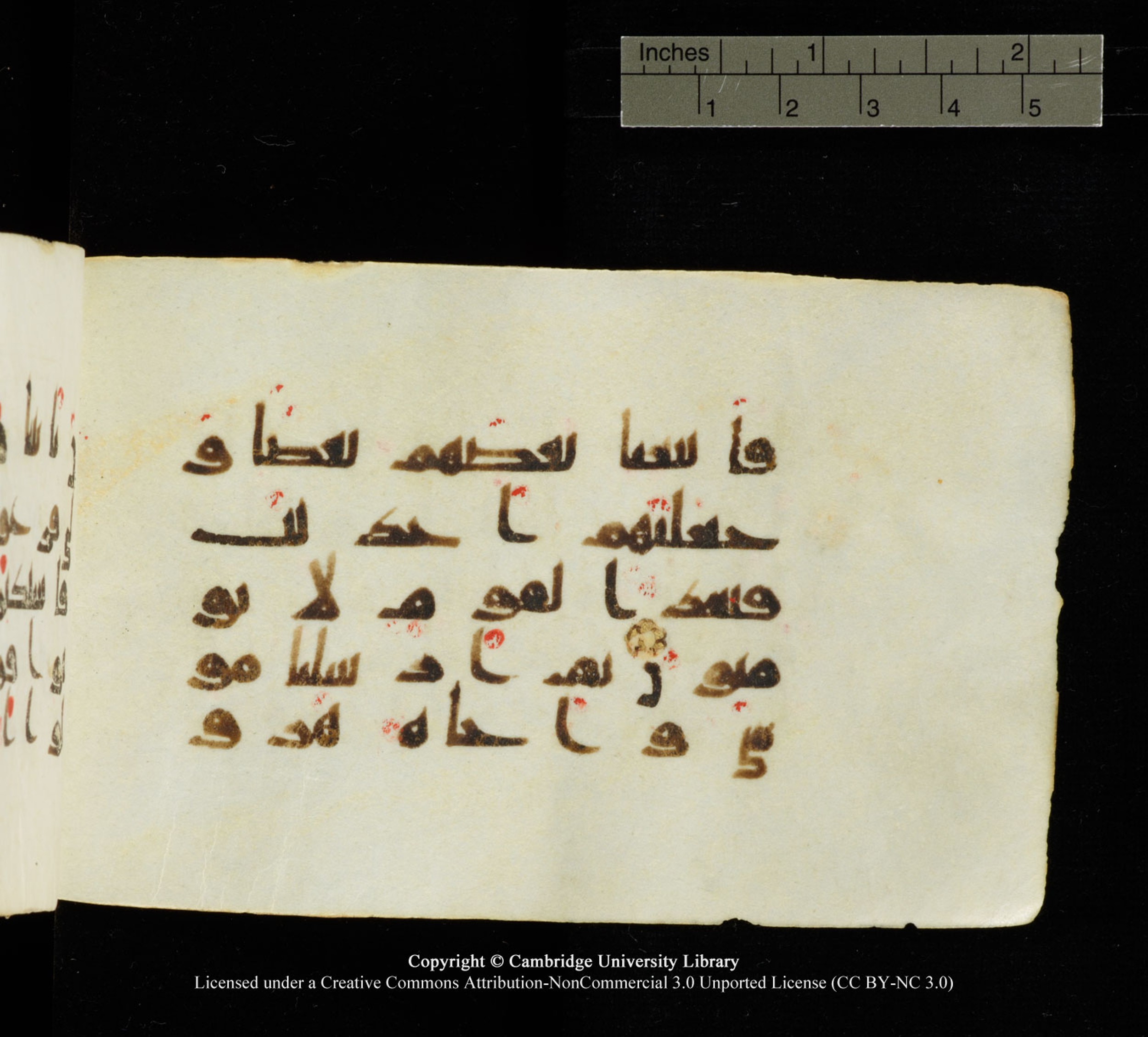Cambridge University Library MS Add.1138 (Scan 1), in kūfī D.Va script, showing Surah 23:45 from 9th to 10th Century AD found in Sinai Peninsula, currently housed at Cambridge University Library, Cambridge