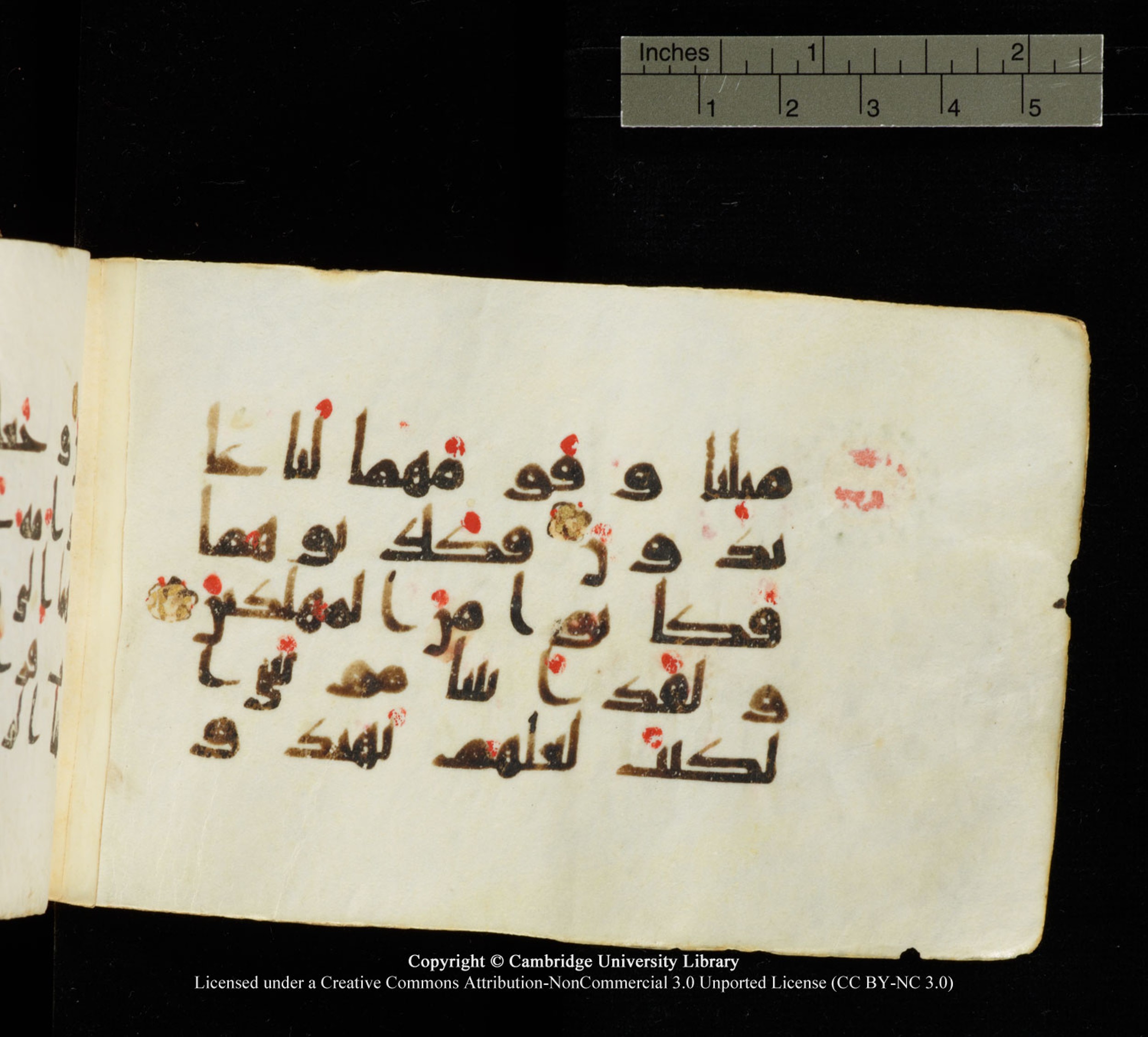 Cambridge University Library MS Add.1138 (Scan 2), in kūfī D.Va script, showing Surah 23:47 from 9th to 10th Century AD found in Sinai Peninsula, currently housed at Cambridge University Library, Cambridge