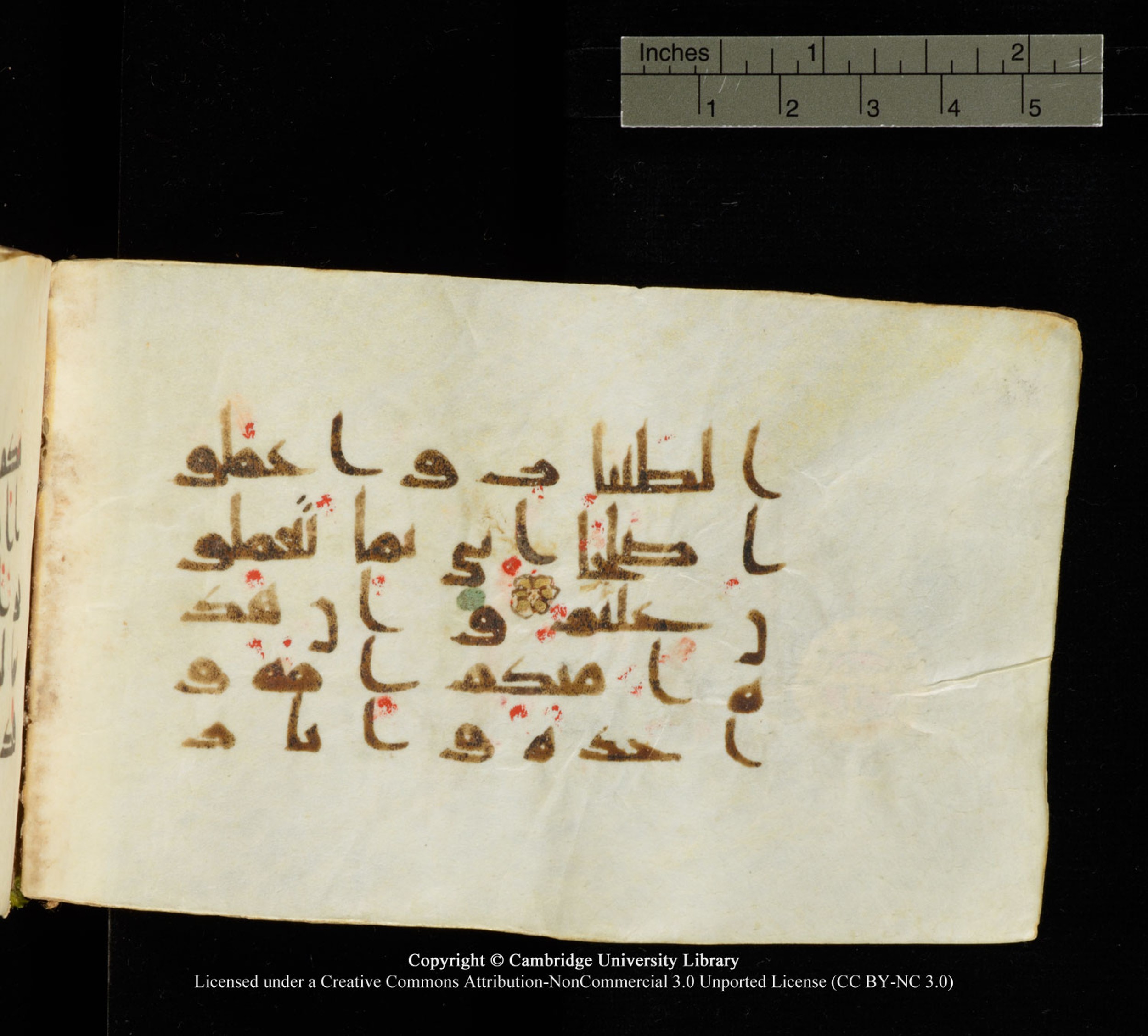 Cambridge University Library MS Add.1138 (Scan 1), in kūfī D.Va script, showing Surah 23:52 from 9th to 10th Century AD found in Sinai Peninsula, currently housed at Cambridge University Library, Cambridge