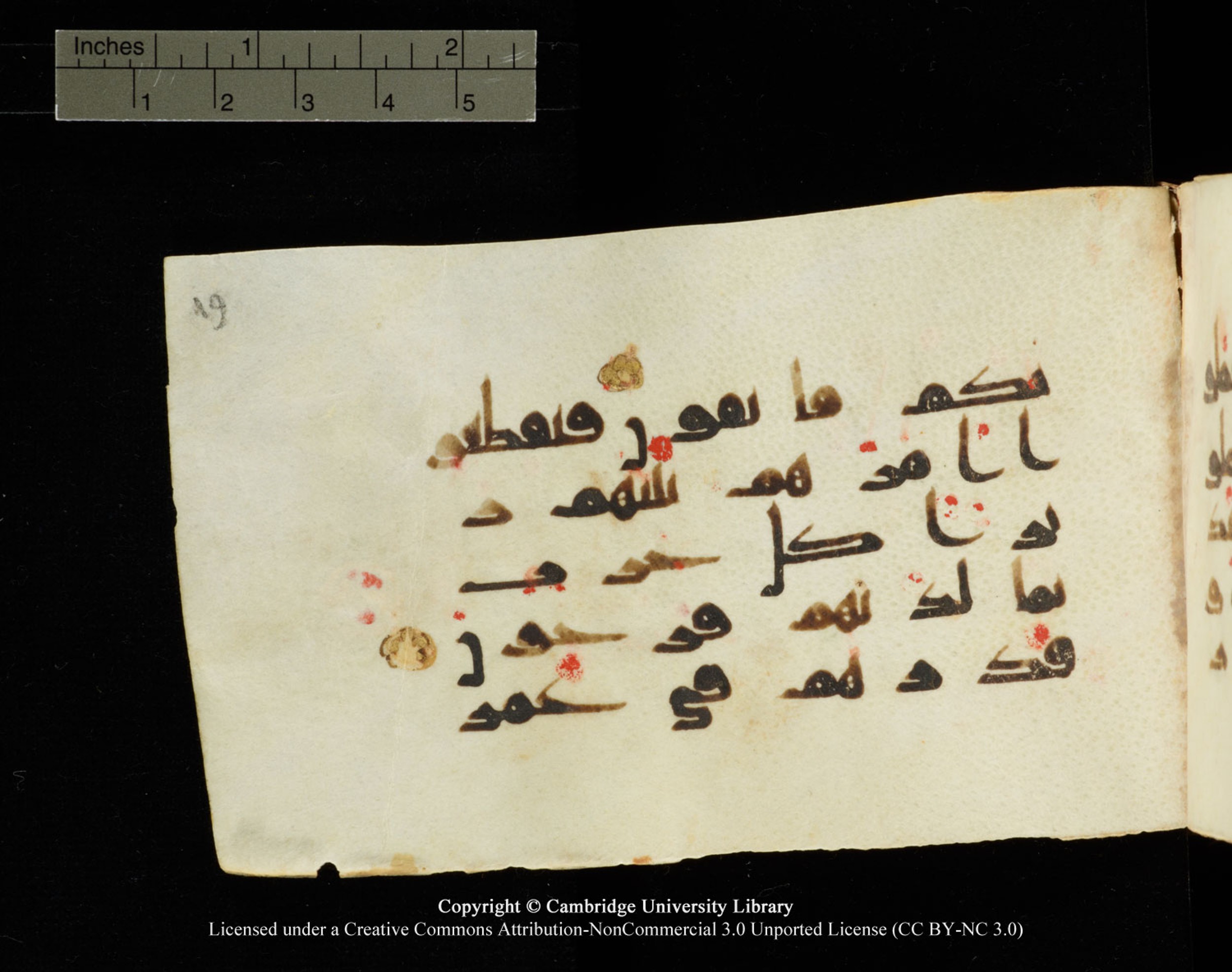 Cambridge University Library MS Add.1138, in kūfī D.Va script, showing Surah 23:53 from 9th to 10th Century AD found in Sinai Peninsula, currently housed at Cambridge University Library, Cambridge