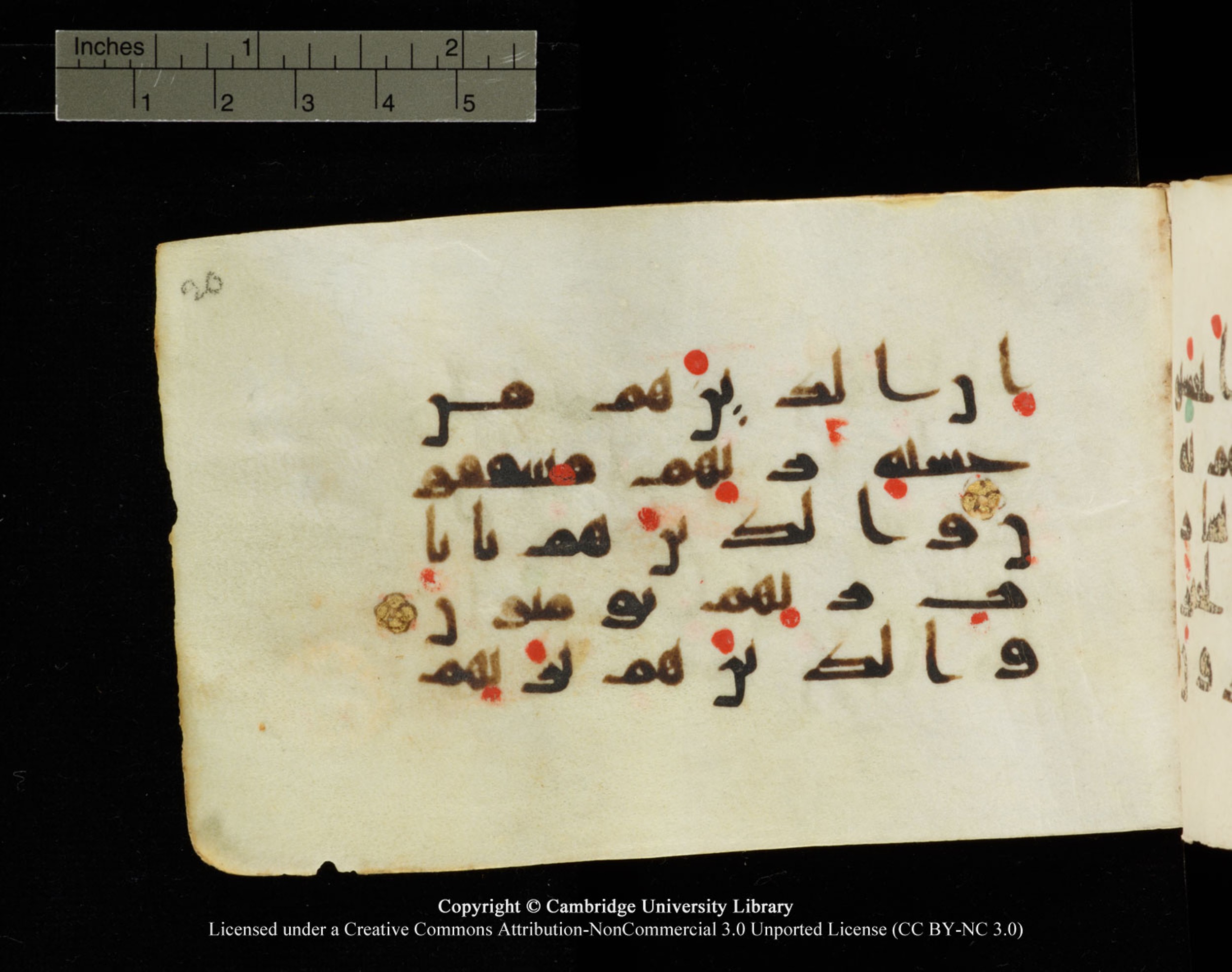 Cambridge University Library MS Add.1138, in kūfī D.Va script, showing Surah 23:57 from 9th to 10th Century AD found in Sinai Peninsula, currently housed at Cambridge University Library, Cambridge