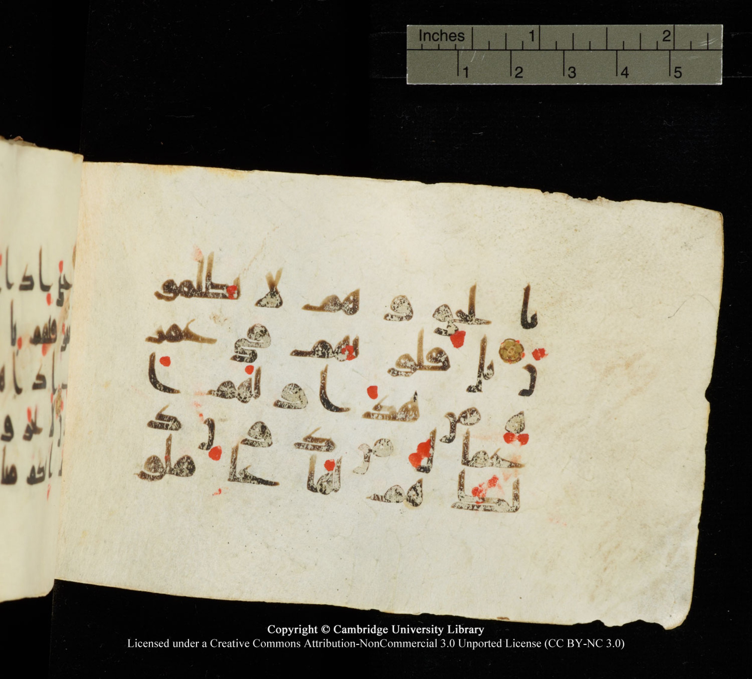 Cambridge University Library MS Add.1138 (Scan 1), in kūfī D.Va script, showing Surah 23:63 from 9th to 10th Century AD found in Sinai Peninsula, currently housed at Cambridge University Library, Cambridge