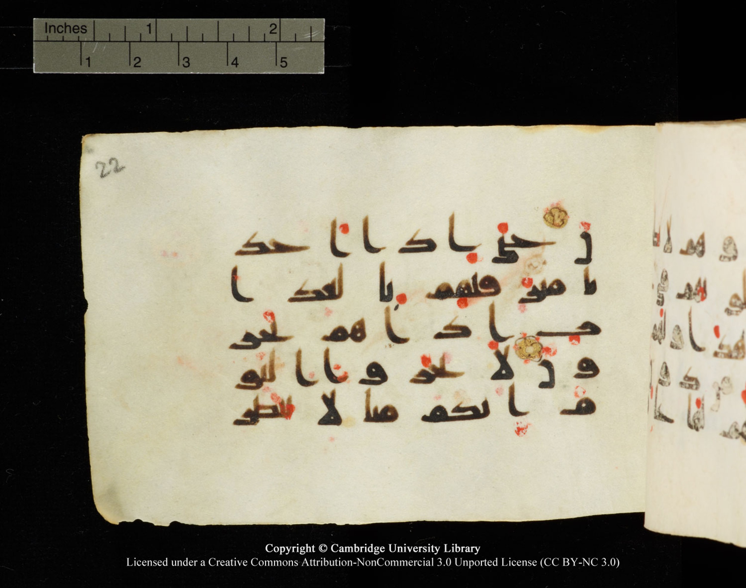 Cambridge University Library MS Add.1138 (Scan 2), in kūfī D.Va script, showing Surah 23:63 from 9th to 10th Century AD found in Sinai Peninsula, currently housed at Cambridge University Library, Cambridge
