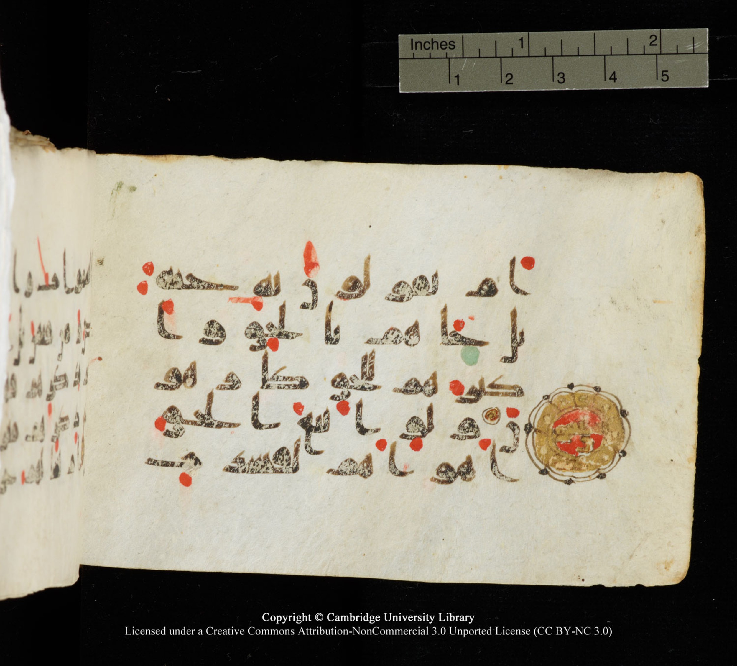 Cambridge University Library MS Add.1138 (Scan 1), in kūfī D.Va script, showing Surah 23:71 from 9th to 10th Century AD found in Sinai Peninsula, currently housed at Cambridge University Library, Cambridge
