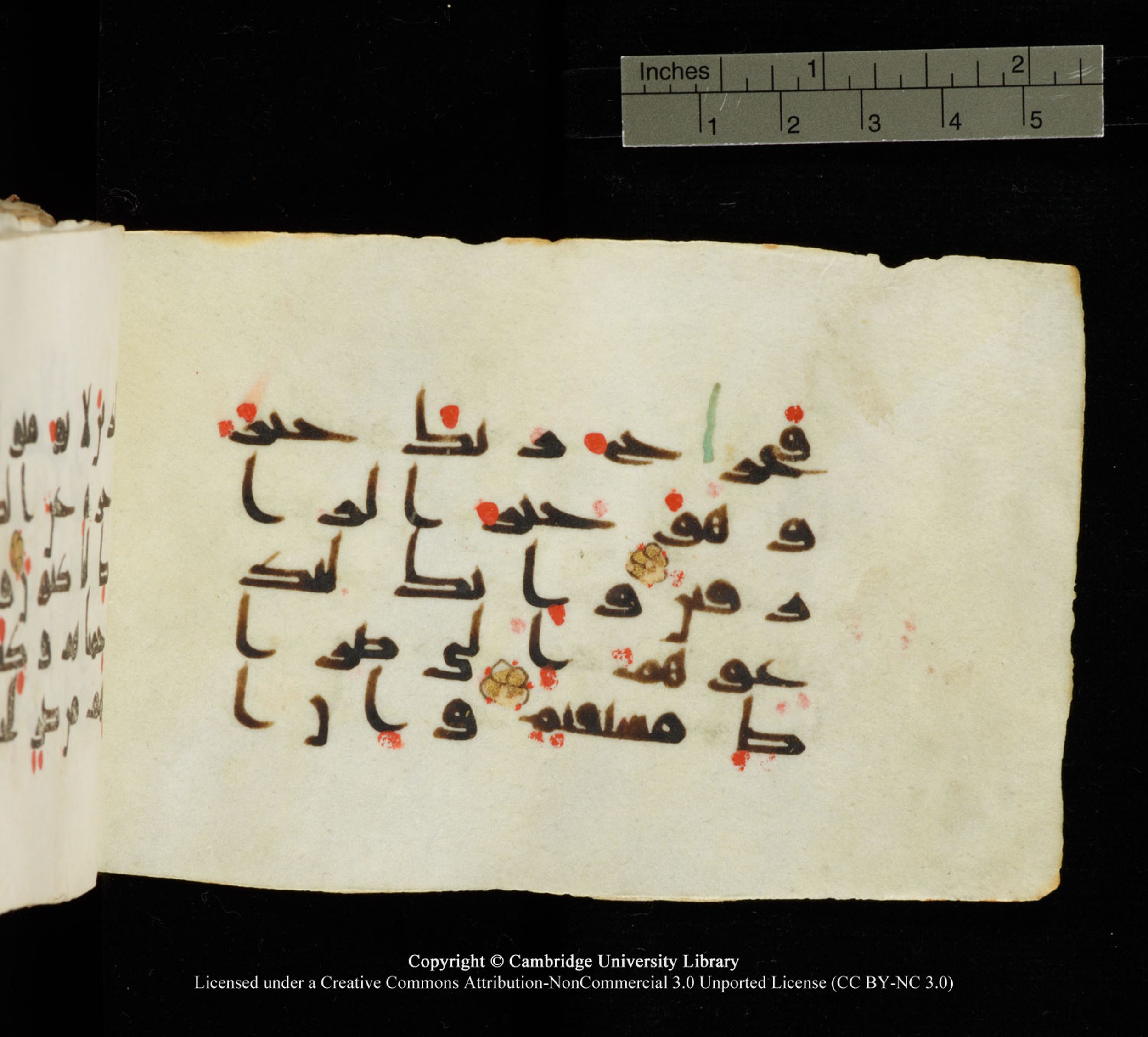 Cambridge University Library MS Add.1138, in kūfī D.Va script, showing Surah 23:73 from 9th to 10th Century AD found in Sinai Peninsula, currently housed at Cambridge University Library, Cambridge