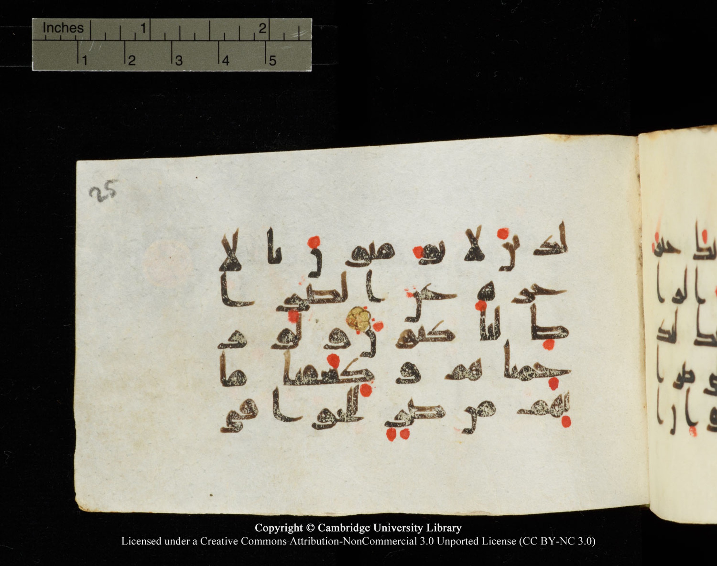 Cambridge University Library MS Add.1138 (Scan 2), in kūfī D.Va script, showing Surah 23:74 from 9th to 10th Century AD found in Sinai Peninsula, currently housed at Cambridge University Library, Cambridge