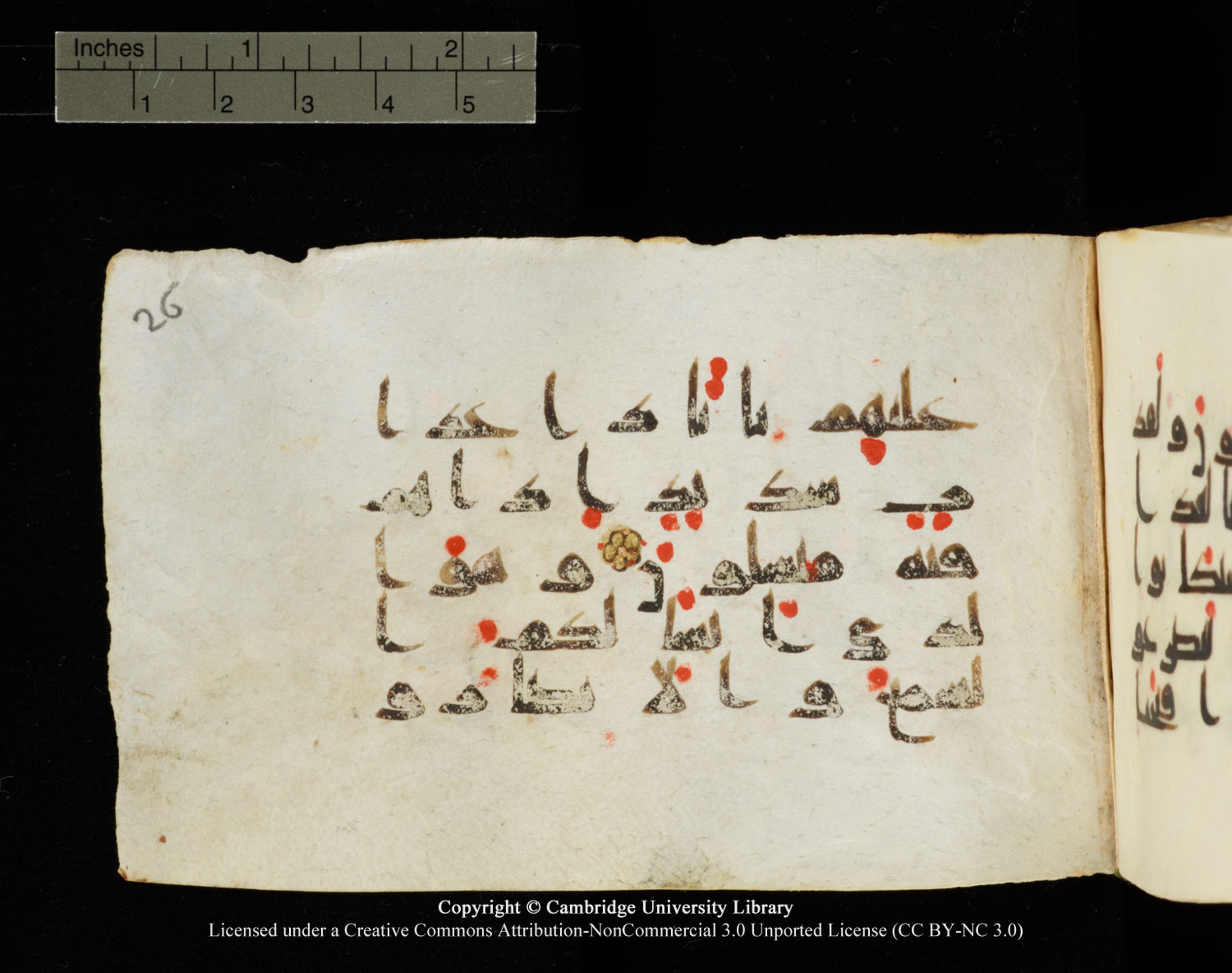 Cambridge University Library MS Add.1138 (Scan 2), in kūfī D.Va script, showing Surah 23:77 from 9th to 10th Century AD found in Sinai Peninsula, currently housed at Cambridge University Library, Cambridge