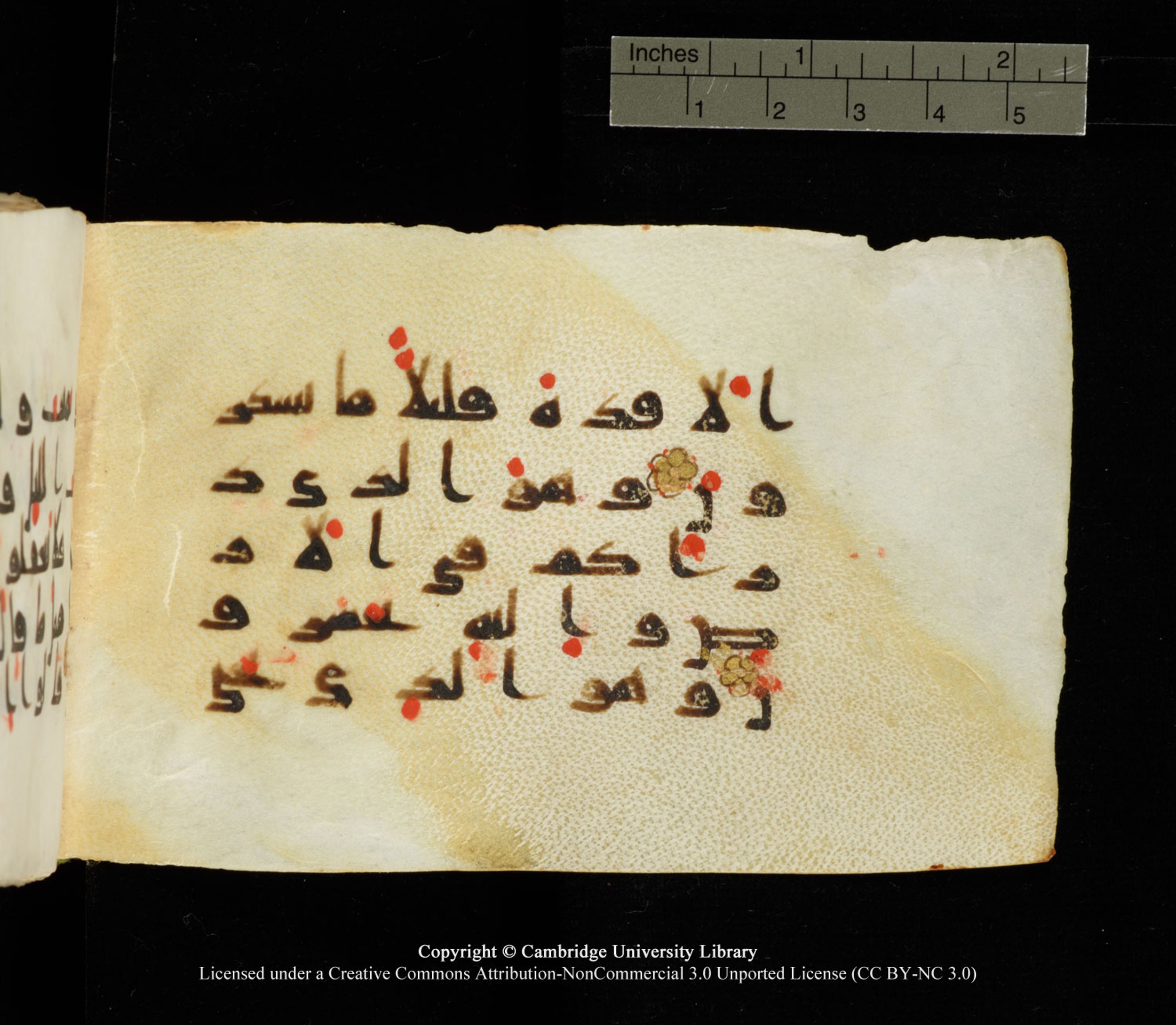 Cambridge University Library MS Add.1138 (Scan 1), in kūfī D.Va script, showing Surah 23:80 from 9th to 10th Century AD found in Sinai Peninsula, currently housed at Cambridge University Library, Cambridge