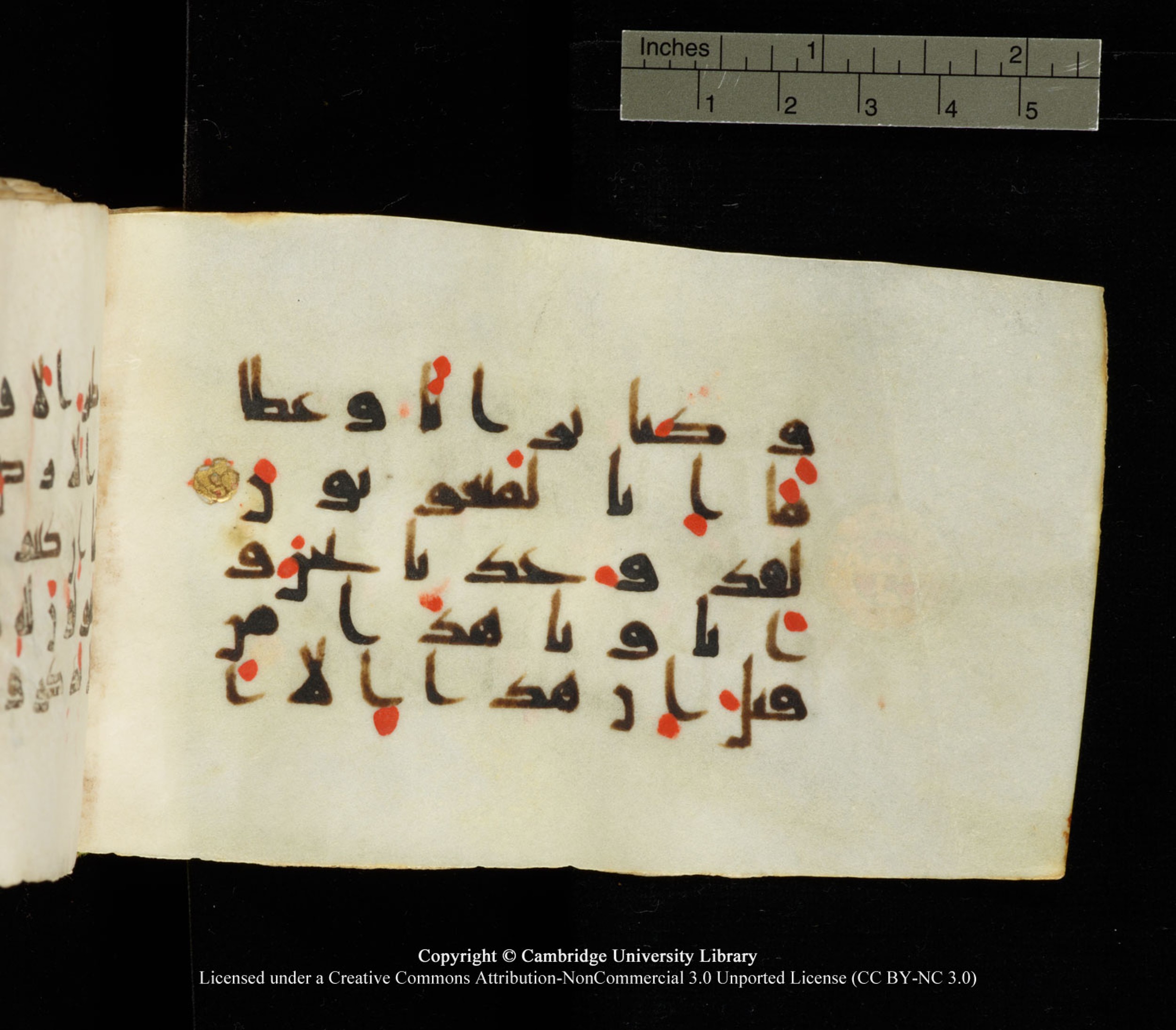 Cambridge University Library MS Add.1138 (Scan 1), in kūfī D.Va script, showing Surah 23:83 from 9th to 10th Century AD found in Sinai Peninsula, currently housed at Cambridge University Library, Cambridge