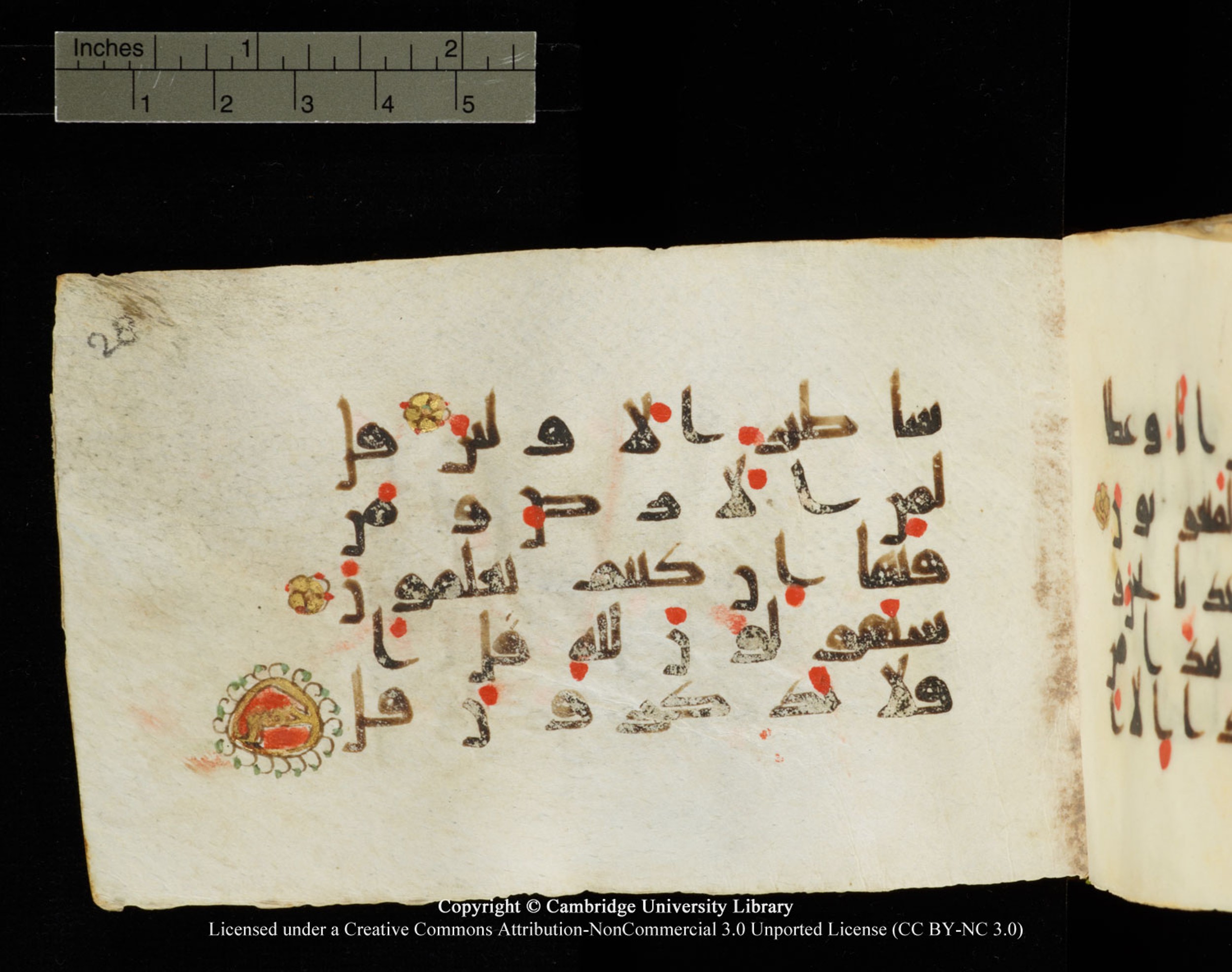 Cambridge University Library MS Add.1138, in kūfī D.Va script, showing Surah 23:85 from 9th to 10th Century AD found in Sinai Peninsula, currently housed at Cambridge University Library, Cambridge