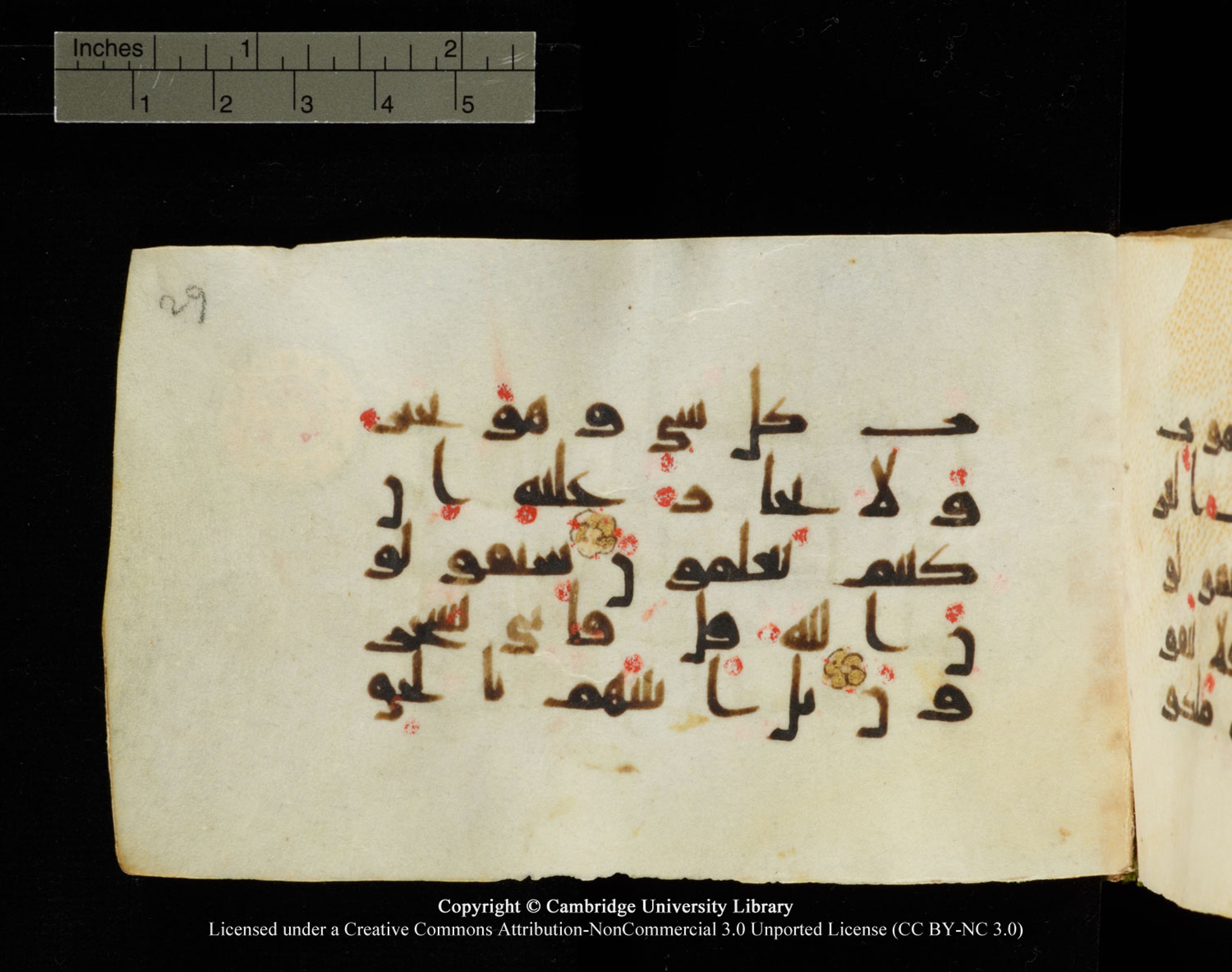 Cambridge University Library MS Add.1138, in kūfī D.Va script, showing Surah 23:89 from 9th to 10th Century AD found in Sinai Peninsula, currently housed at Cambridge University Library, Cambridge