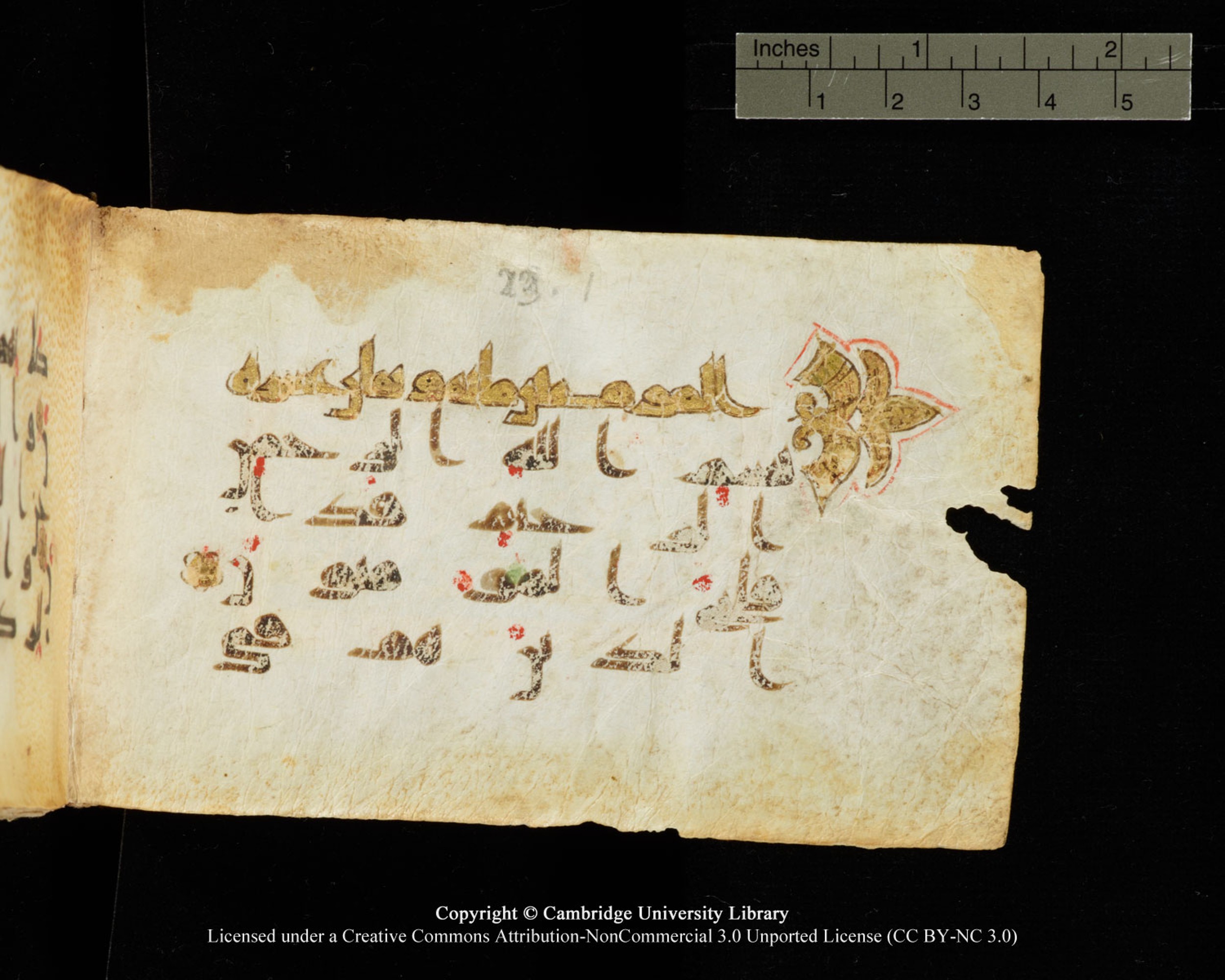 Cambridge University Library MS Add.1138 (Scan 1), in kūfī D.Va script, showing Surah 23:2 from 9th to 10th Century AD found in Sinai Peninsula, currently housed at Cambridge University Library, Cambridge