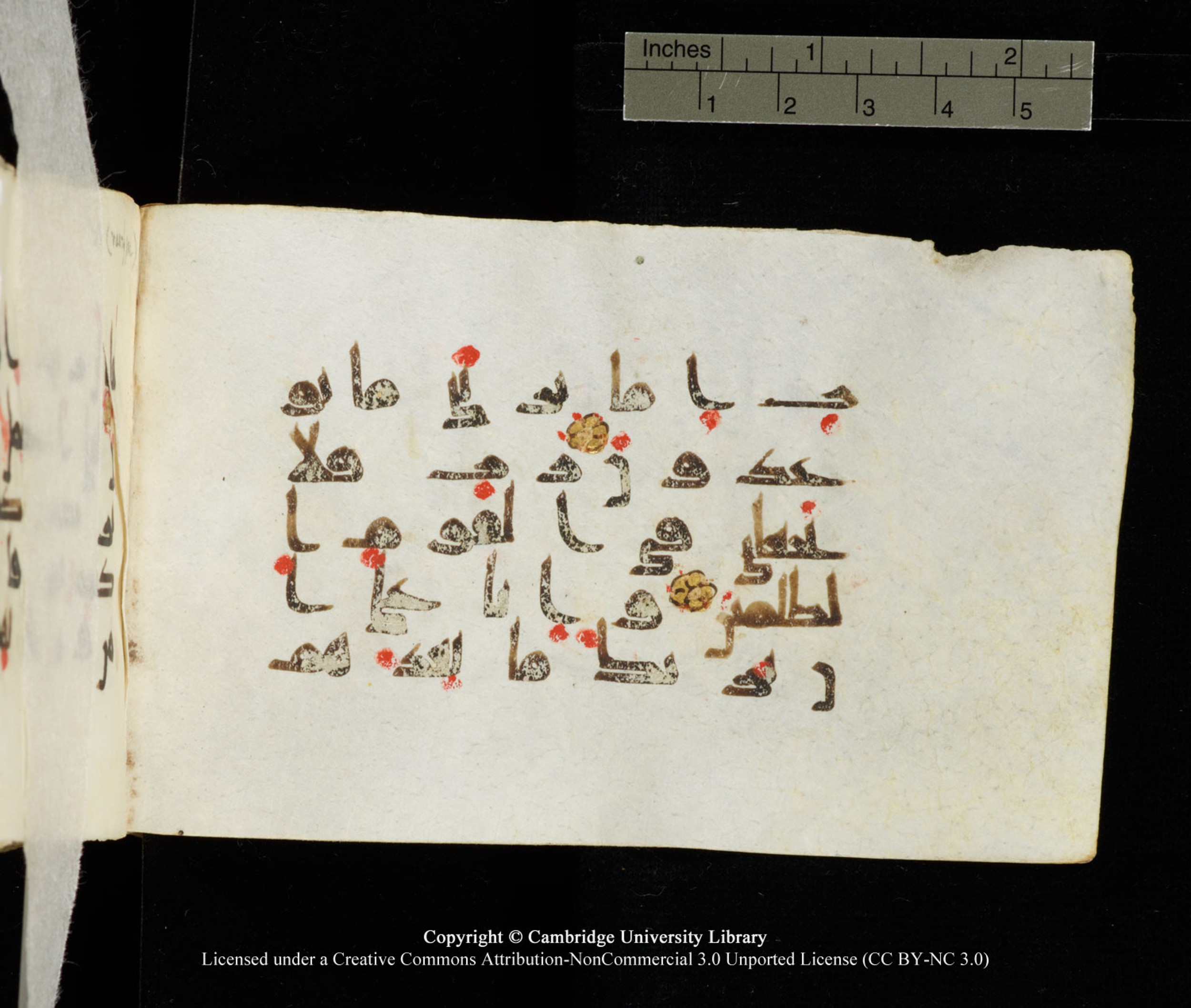 Cambridge University Library MS Add.1138 (Scan 2), in kūfī D.Va script, showing Surah 23:93 from 9th to 10th Century AD found in Sinai Peninsula, currently housed at Cambridge University Library, Cambridge